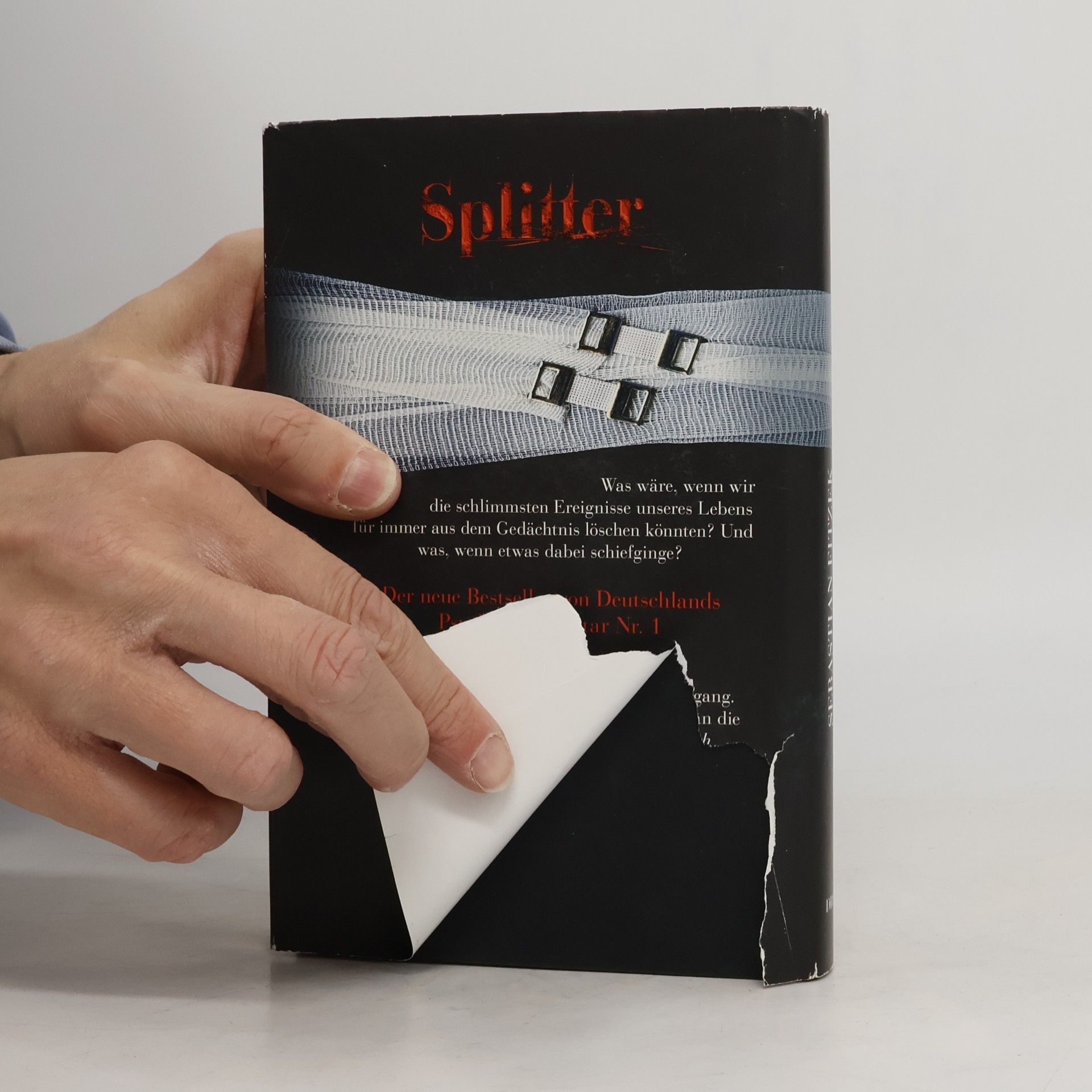 Sebastian Fitzek Splitter