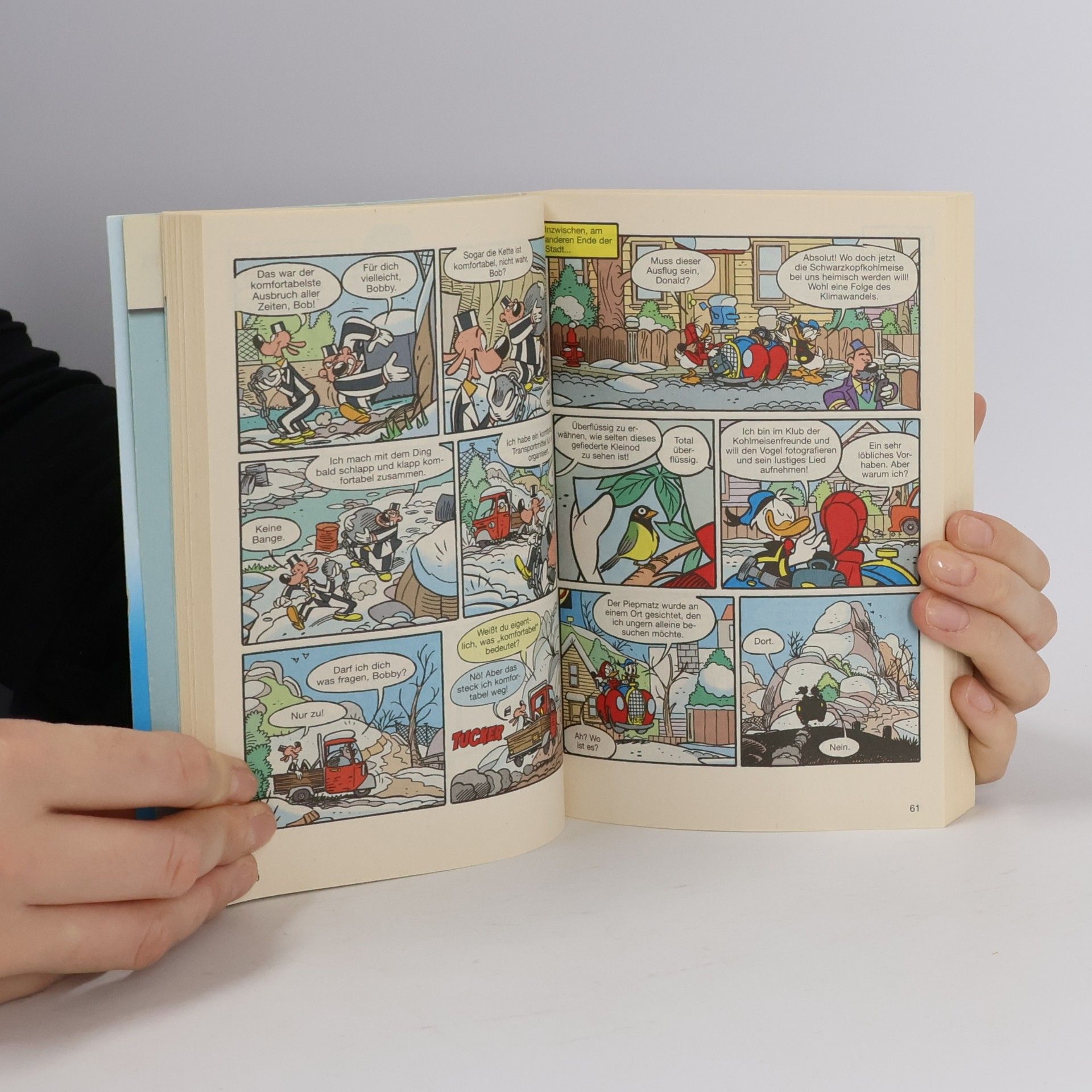 Walt Disney Lustiges Taschenbuch Enten-Edition 61. Donalds Jahreszeiten