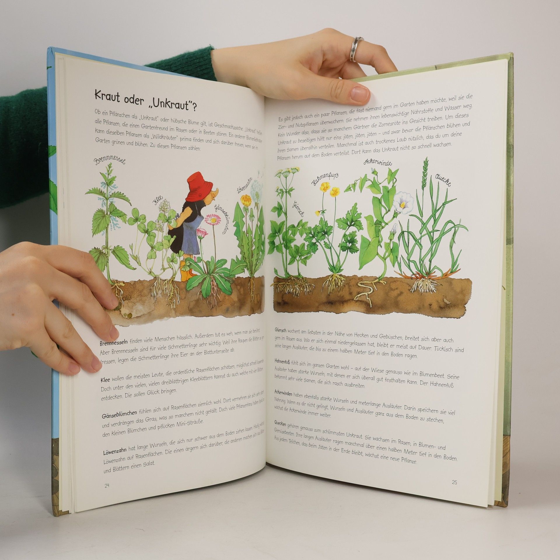 Susanne Tommes Waldemar's großes Gartenbuch