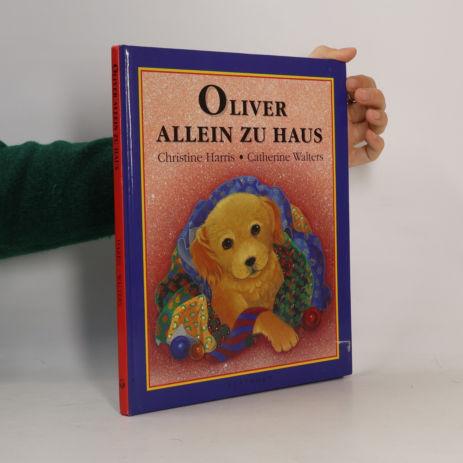 Oliver allein zu Haus