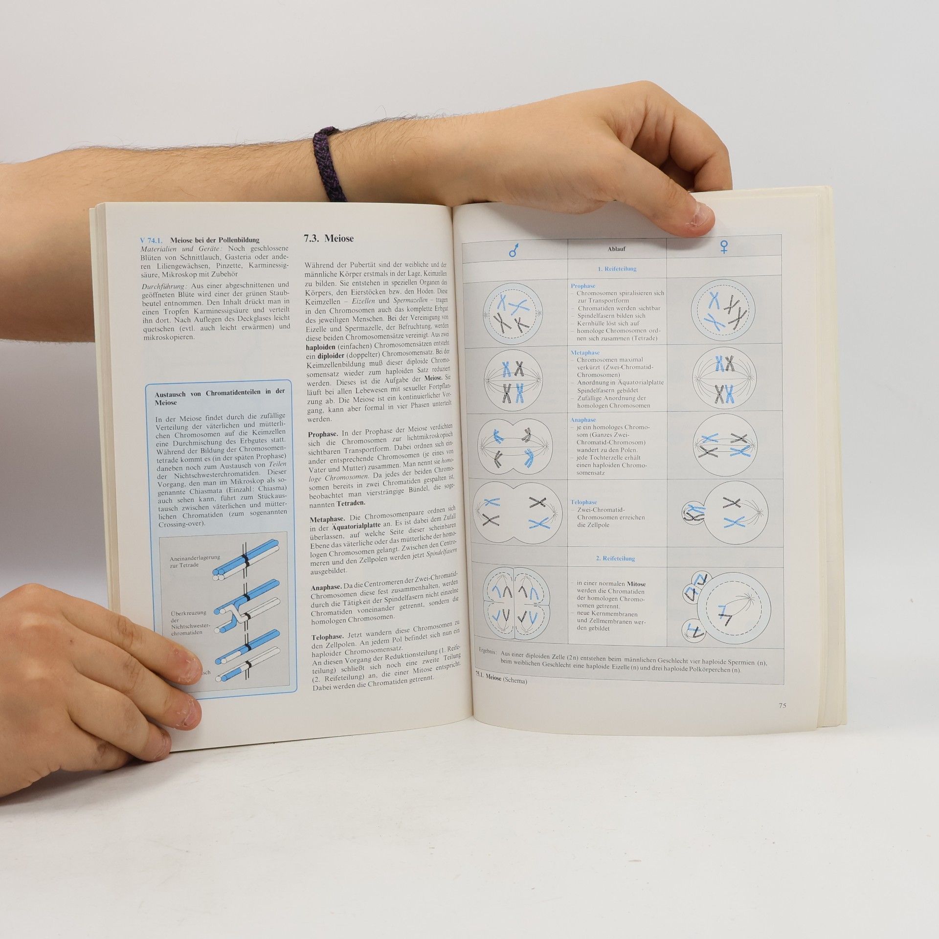 Karl Heinz Scharf Cytologie