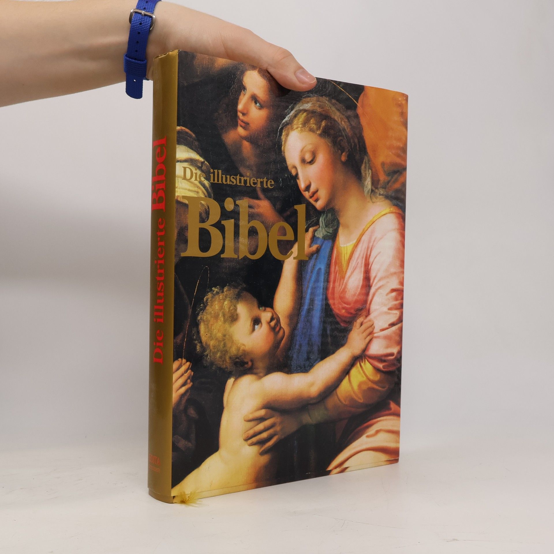 Die illustrierte Bibel