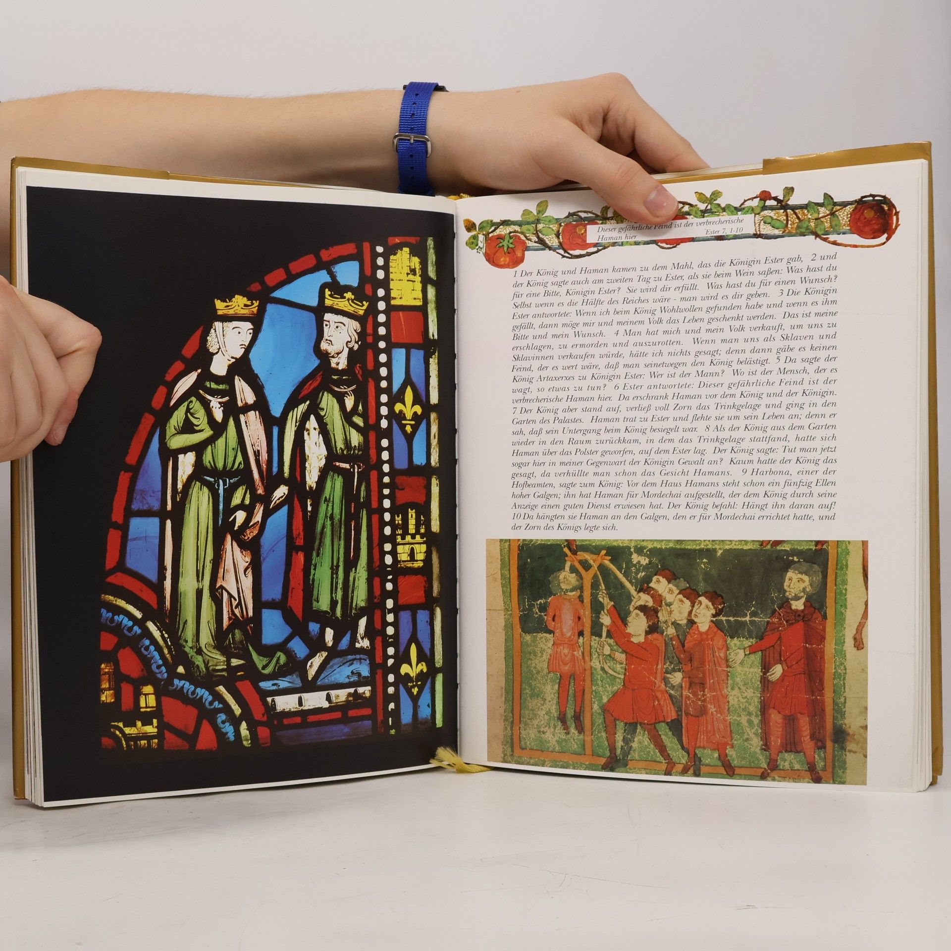Dominque Spiess Die illustrierte Bibel