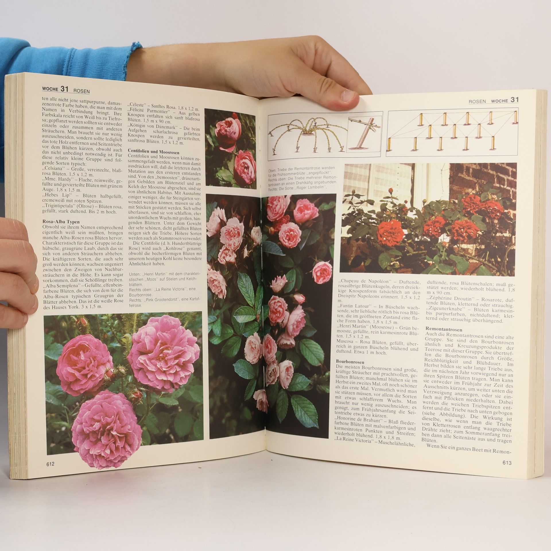 Unser Garten, schön und gepflegt