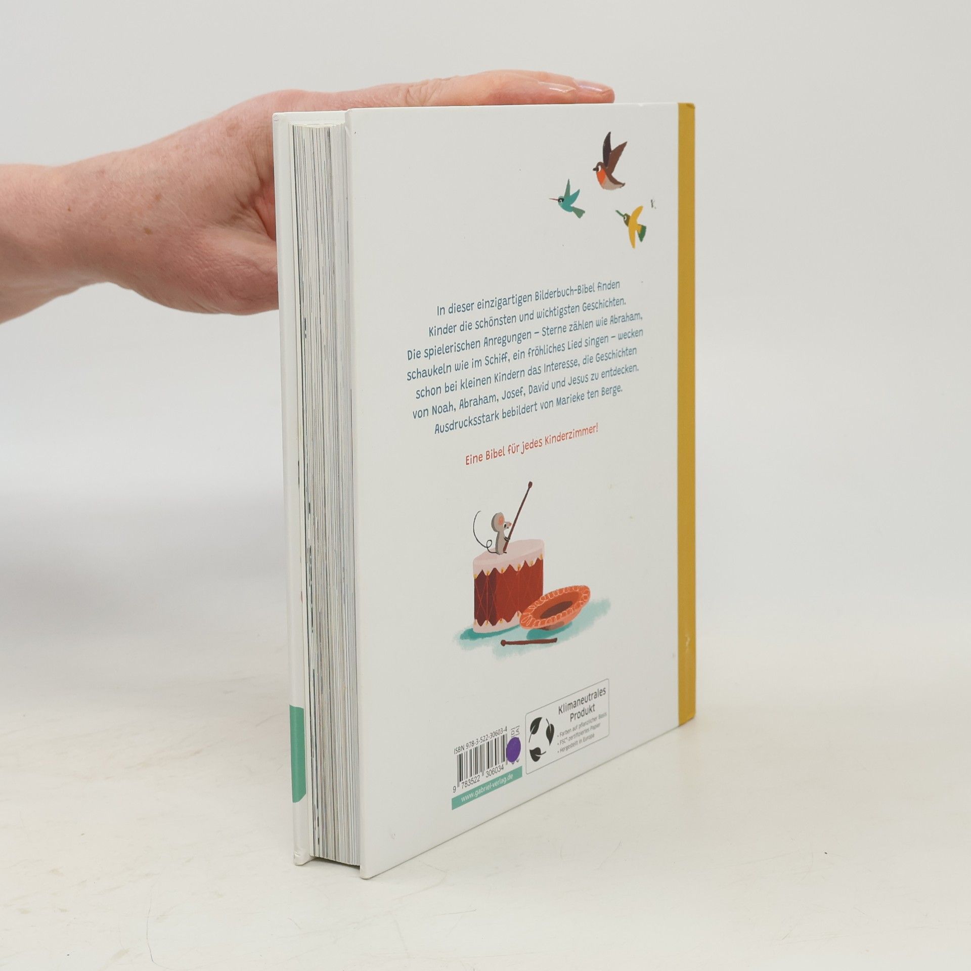 Willemijn de Weerd Die Kinderbibel
