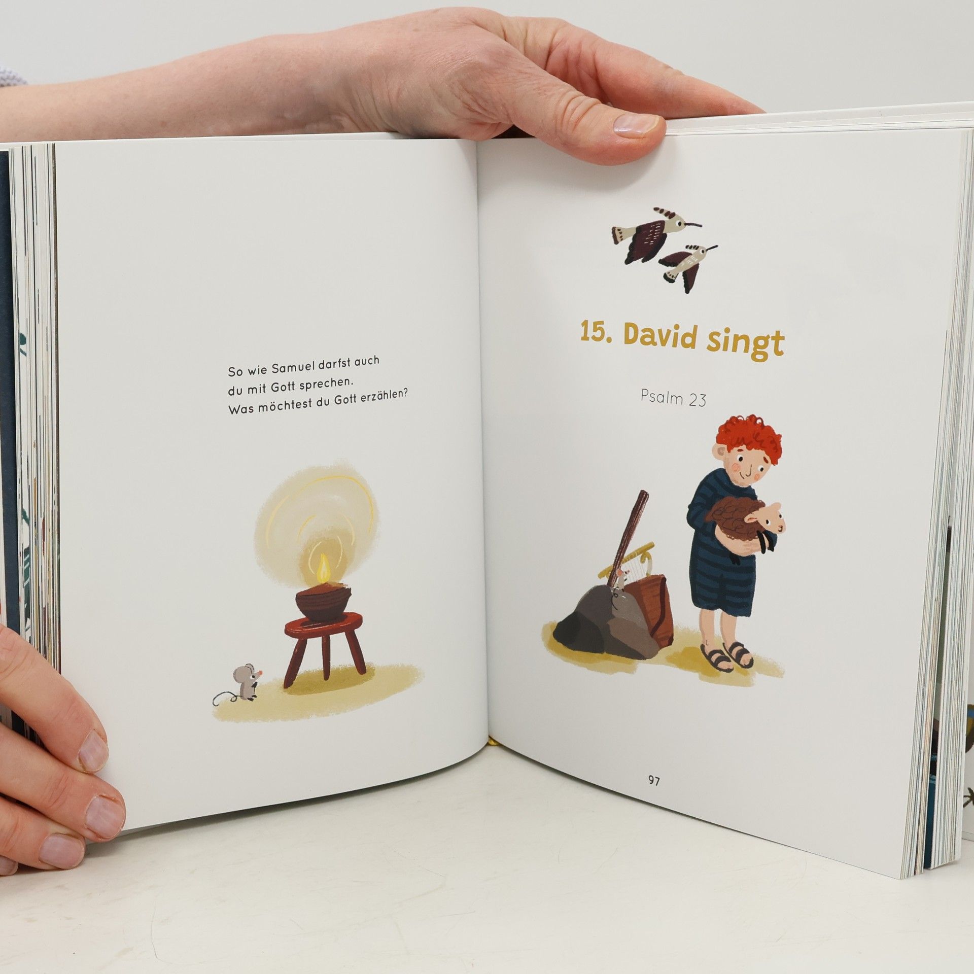 Willemijn de Weerd Die Kinderbibel