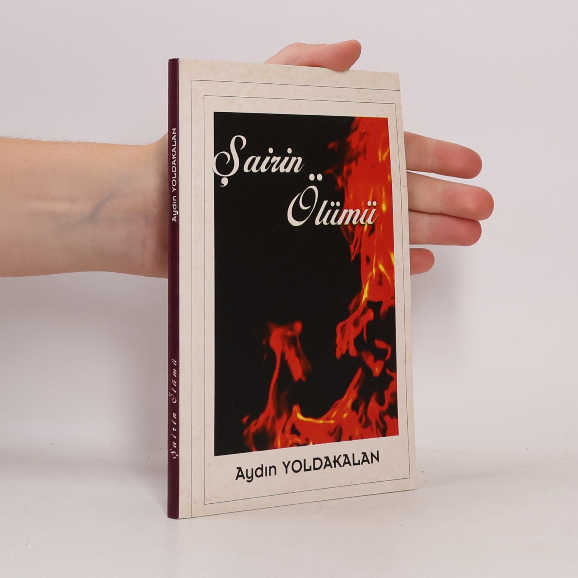 Aydın Yoldakalan Şairin Ölümü