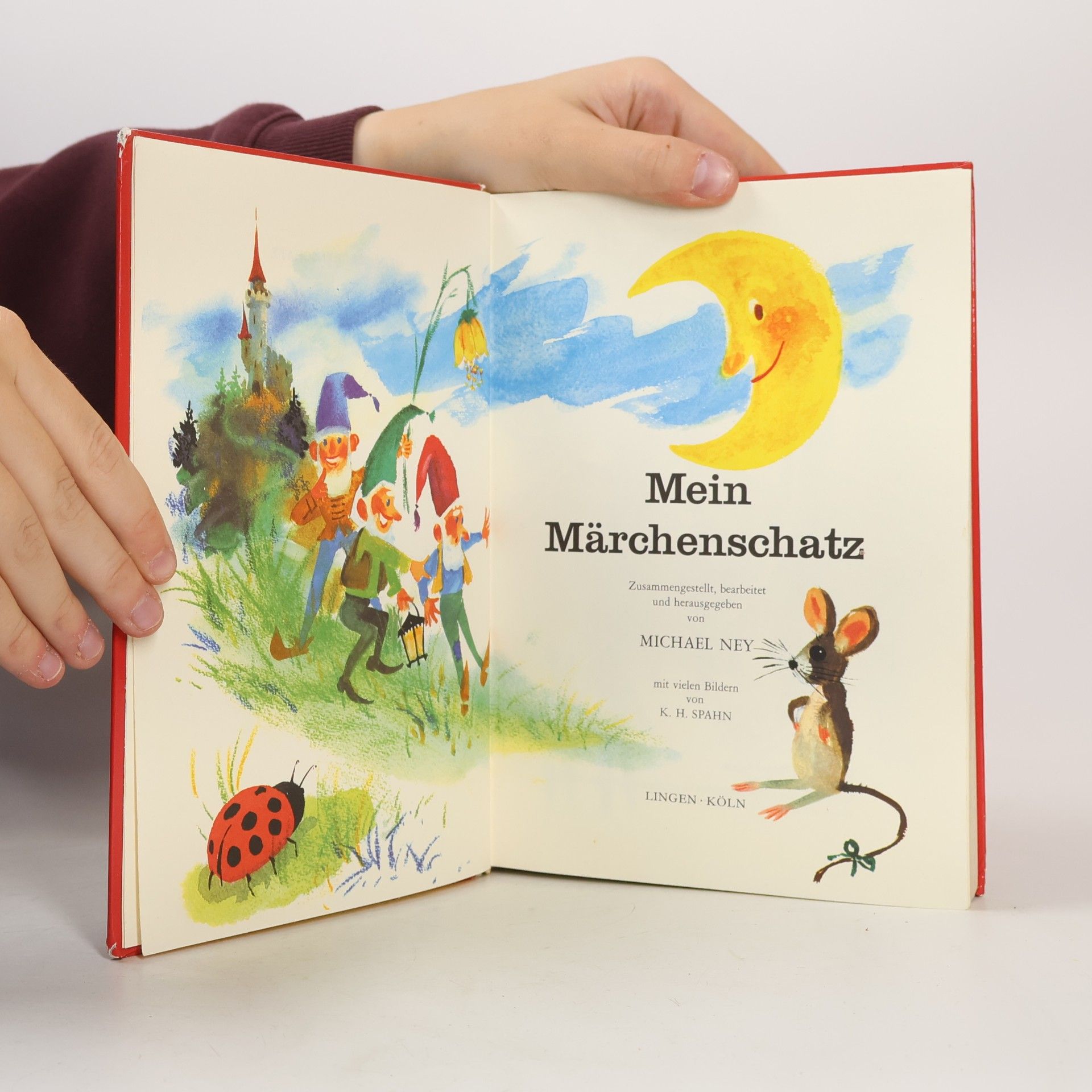 Autorenkollektiv Mein Märchenschatz