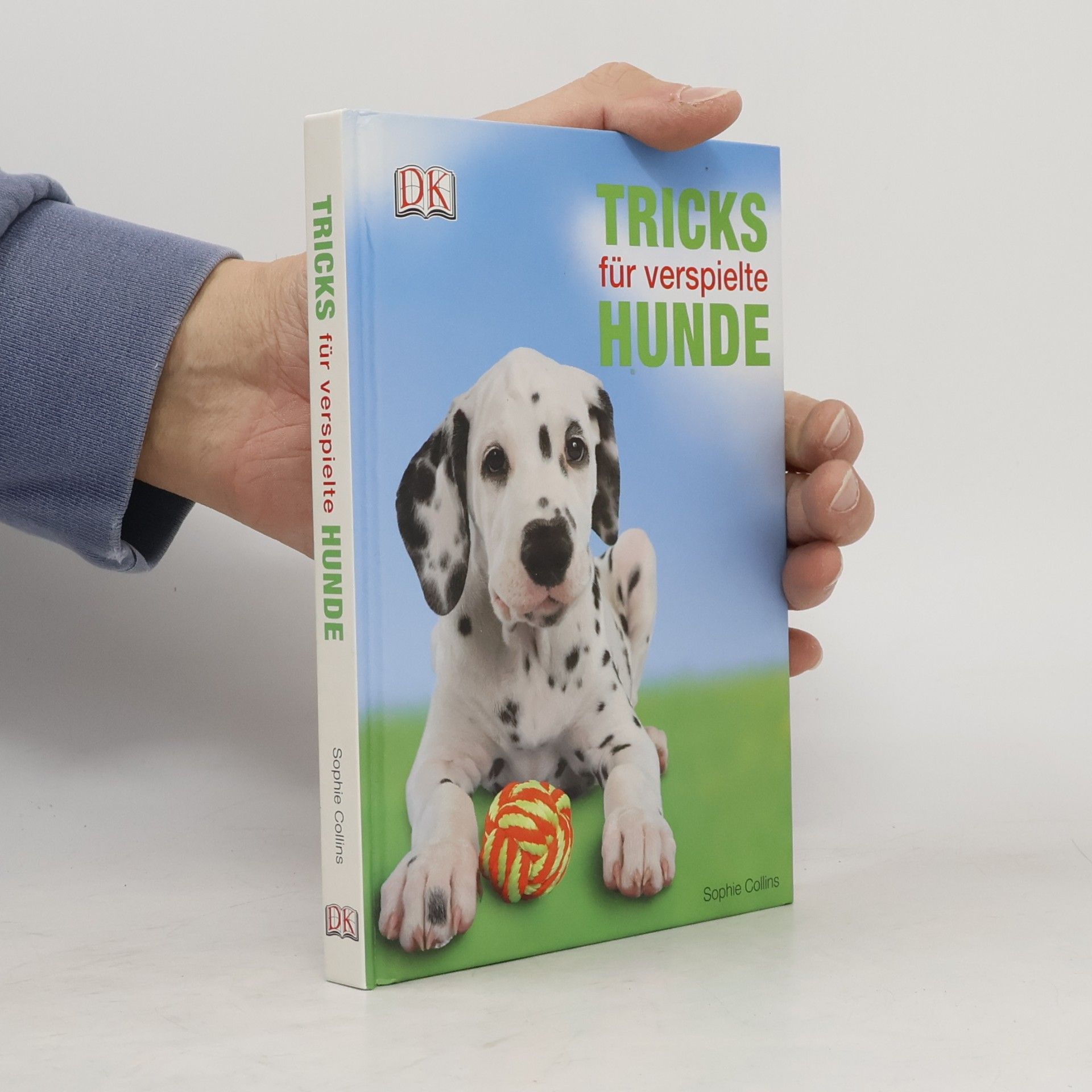 Tricks für verspielte Hunde
