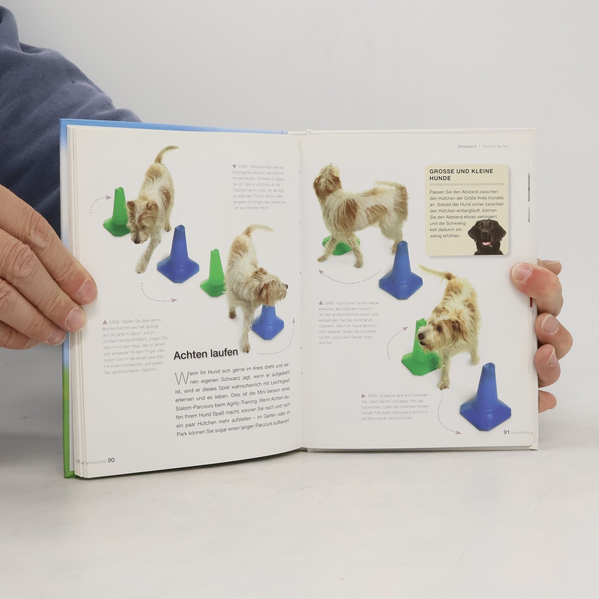 Sophie Collins Tricks für verspielte Hunde