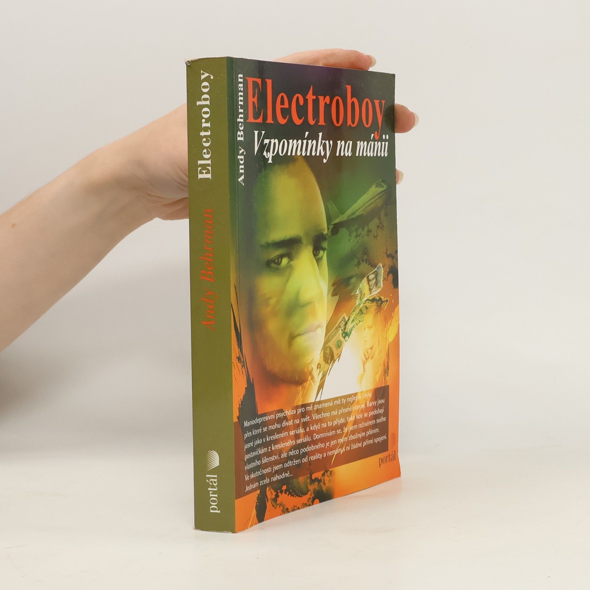 Andy Behrman Electroboy: Vzpomínky na mánii