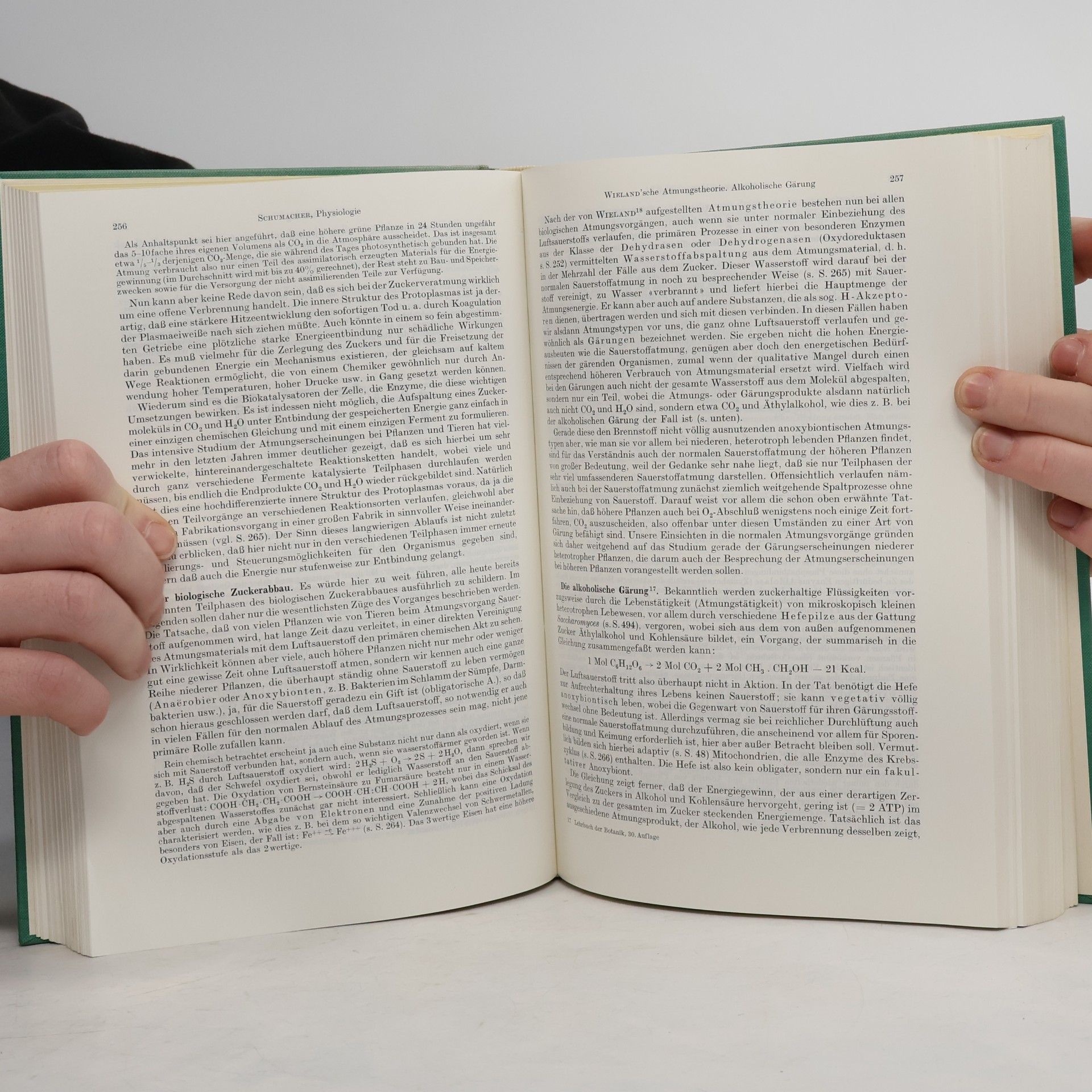 Eduard Strasburger Lehrbuch der Botanik für Hochschulen