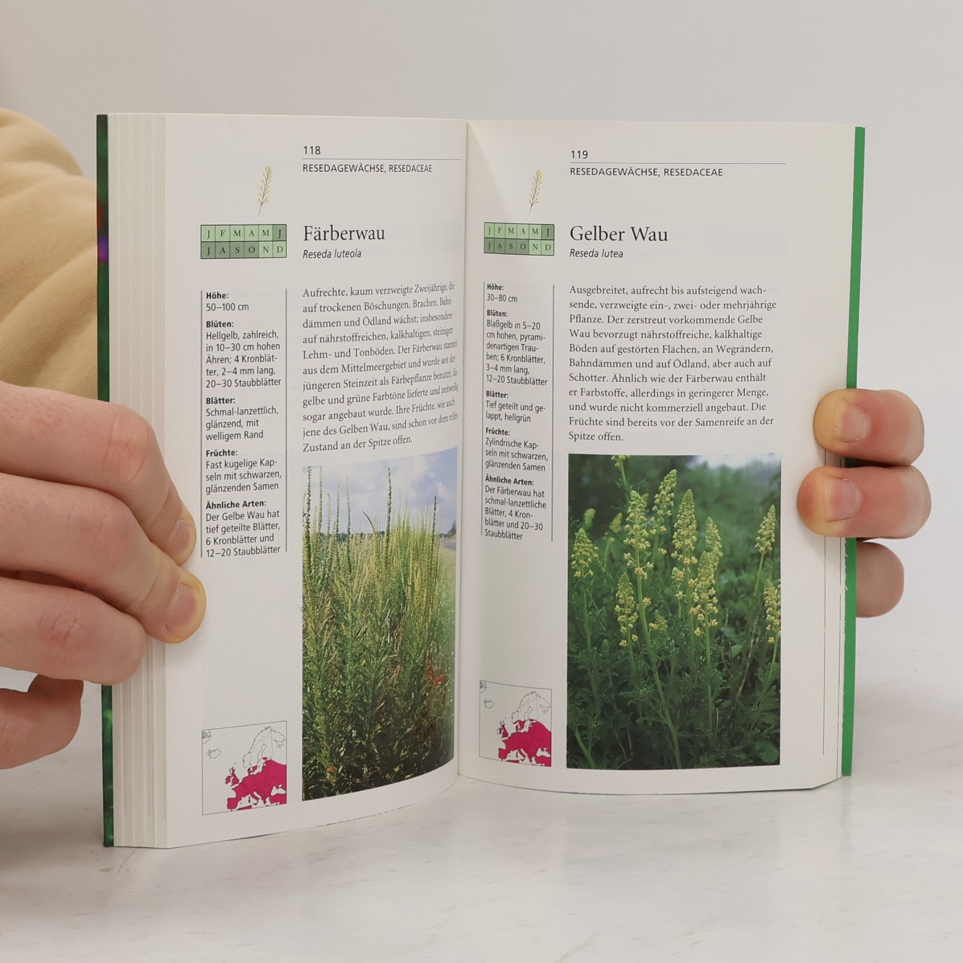 John Akeroyd Wildblumen Mitteleuropas