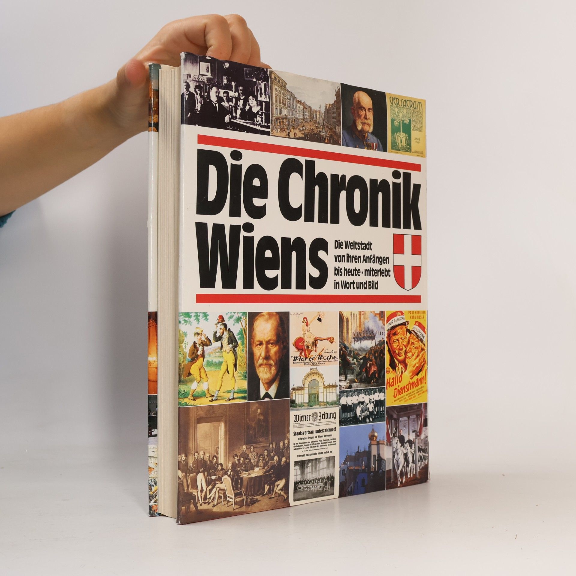 Karl Vocelka Die Chronik Wiens