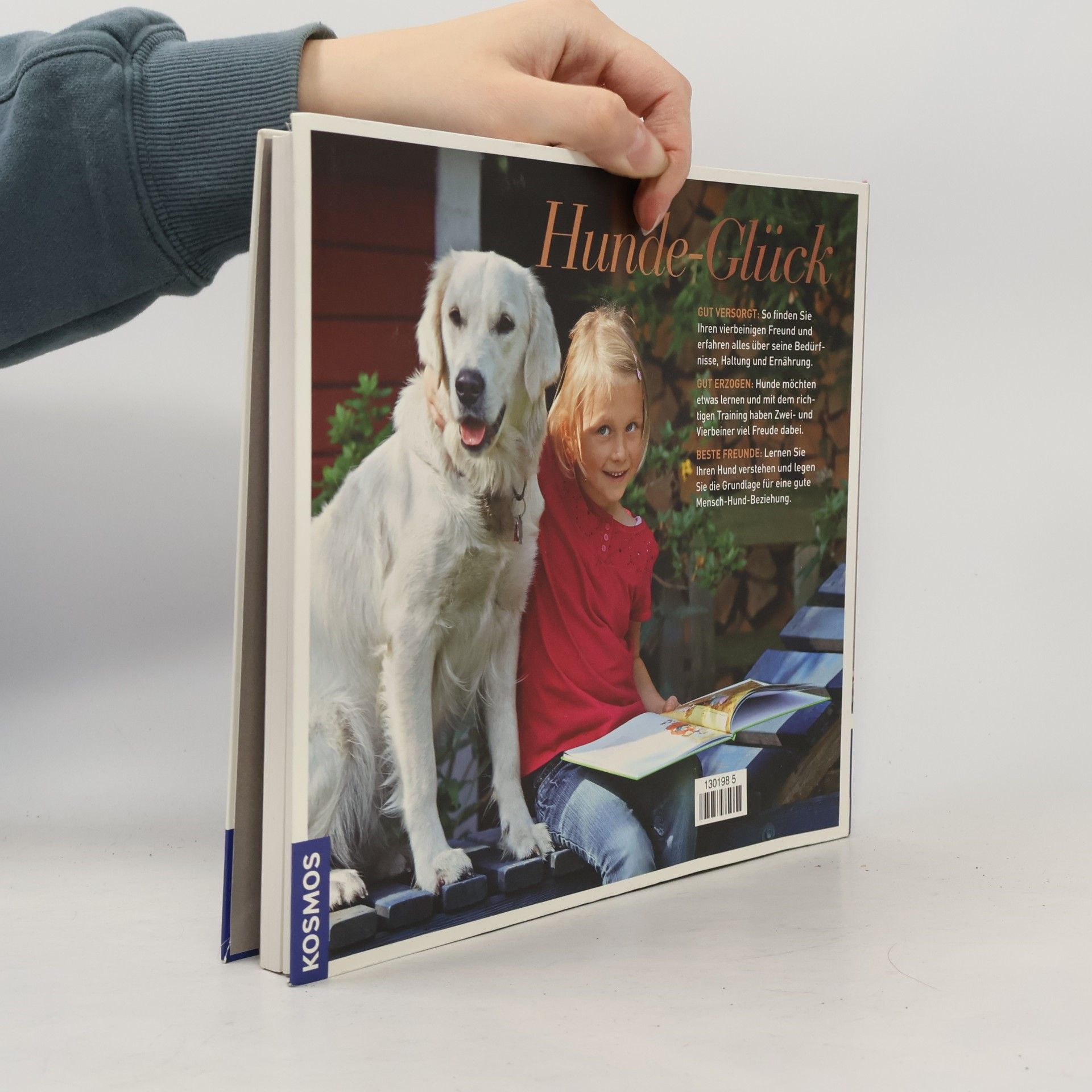 Kate Kitchenham Hunde-Glück