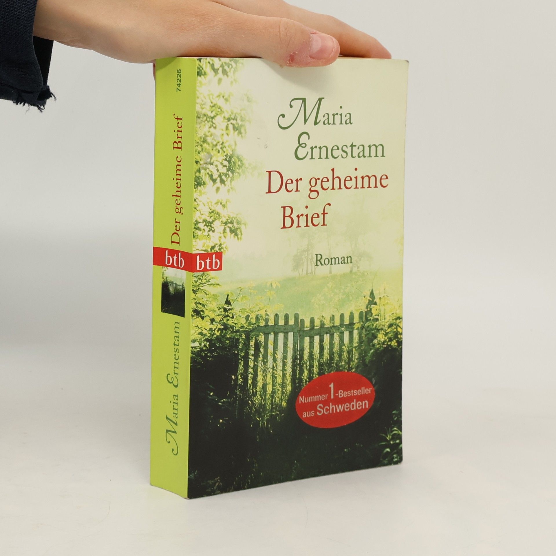 Maria Ernestam Der geheime Brief