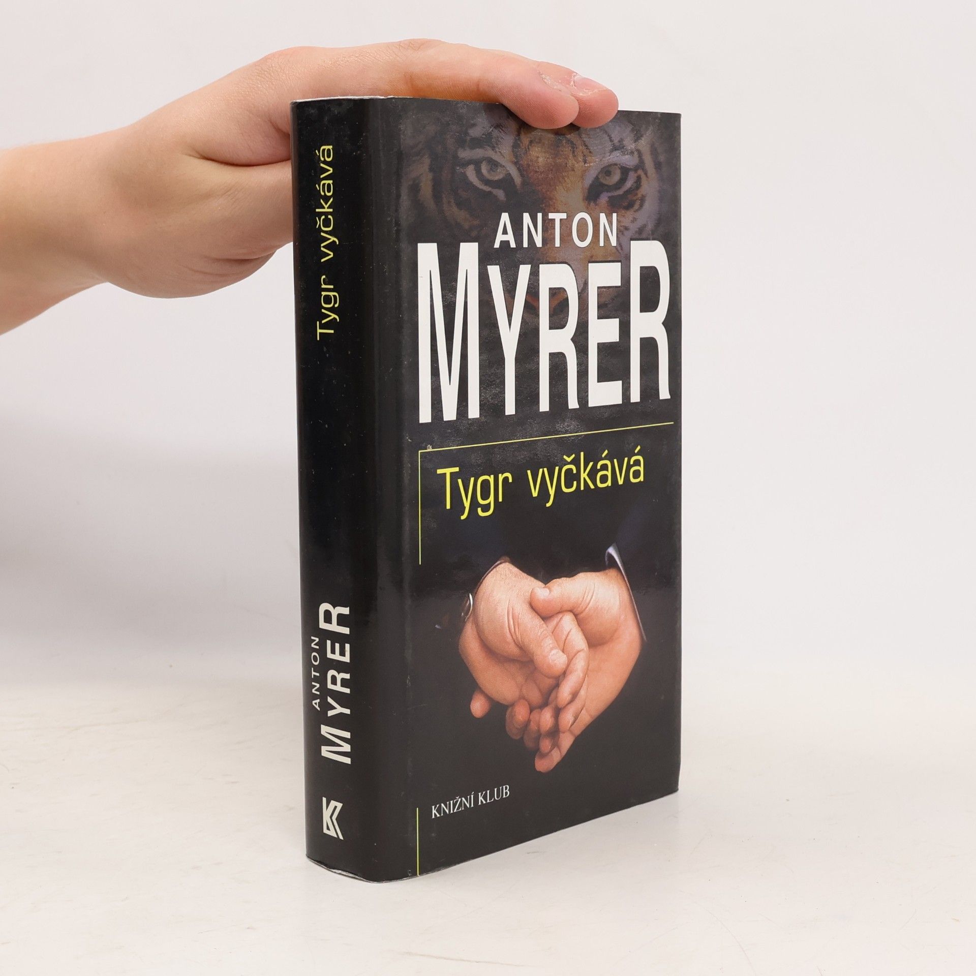 Tygr vyčkává