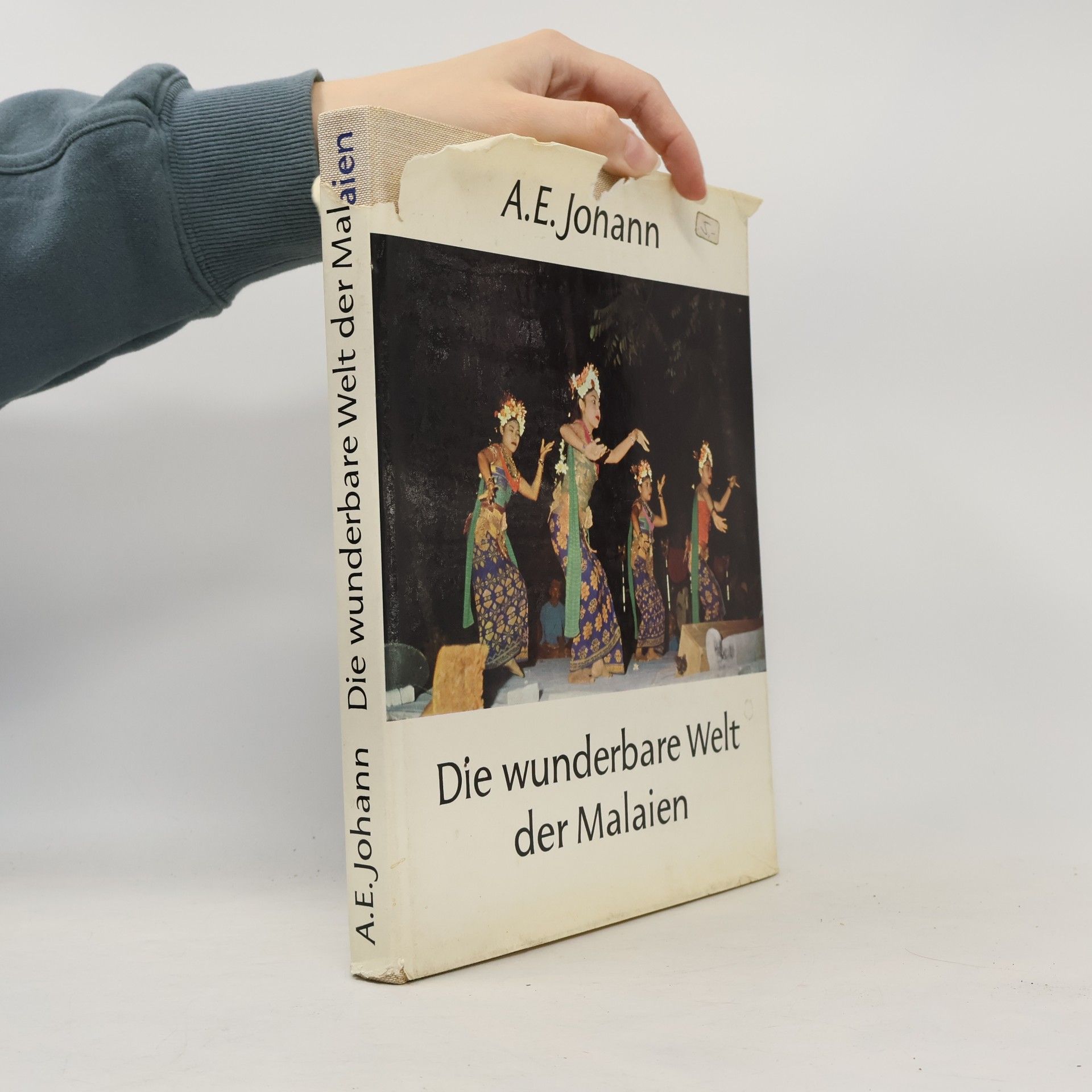 Alfred E. Johann Die wunderbare Welt der Malaien