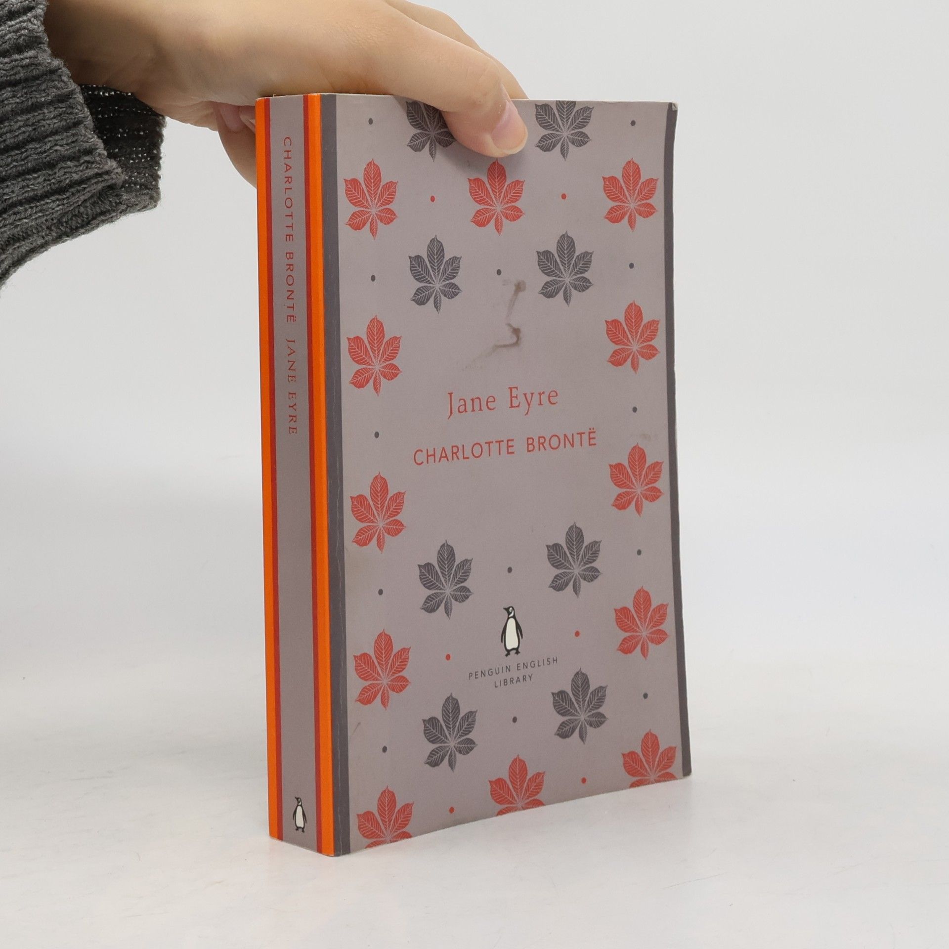 Charlotte Brontë Jane Eyre