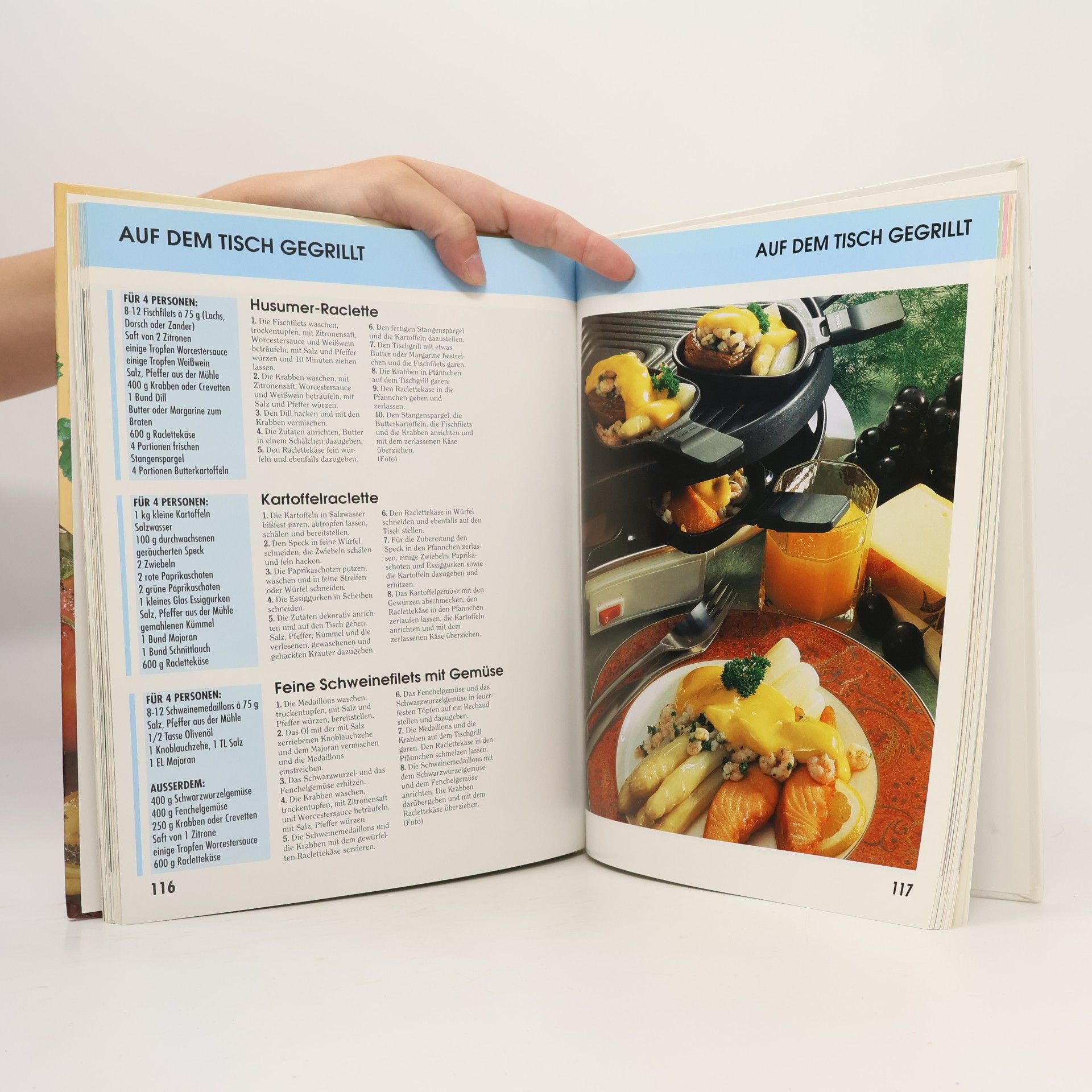 Kolektív autorov Alles über Grillgerichte : die besten Ideen für die Freizeitküche