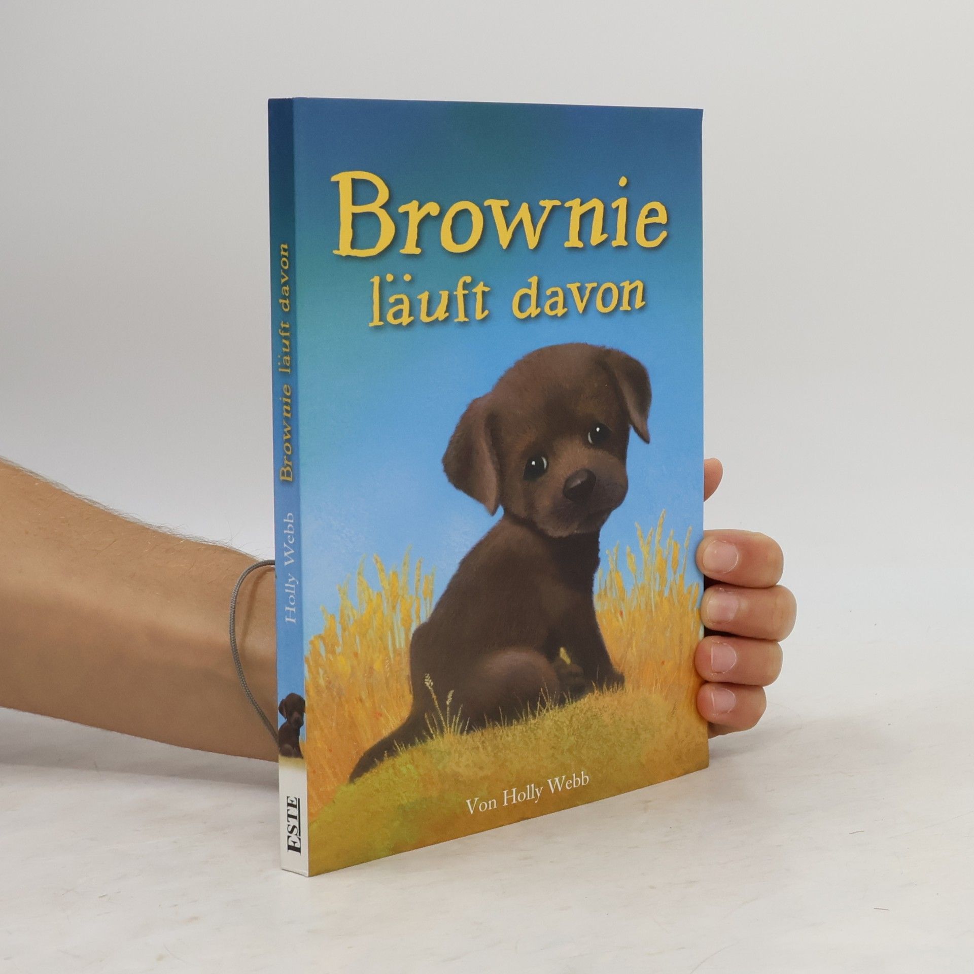 Brownie läuft davon