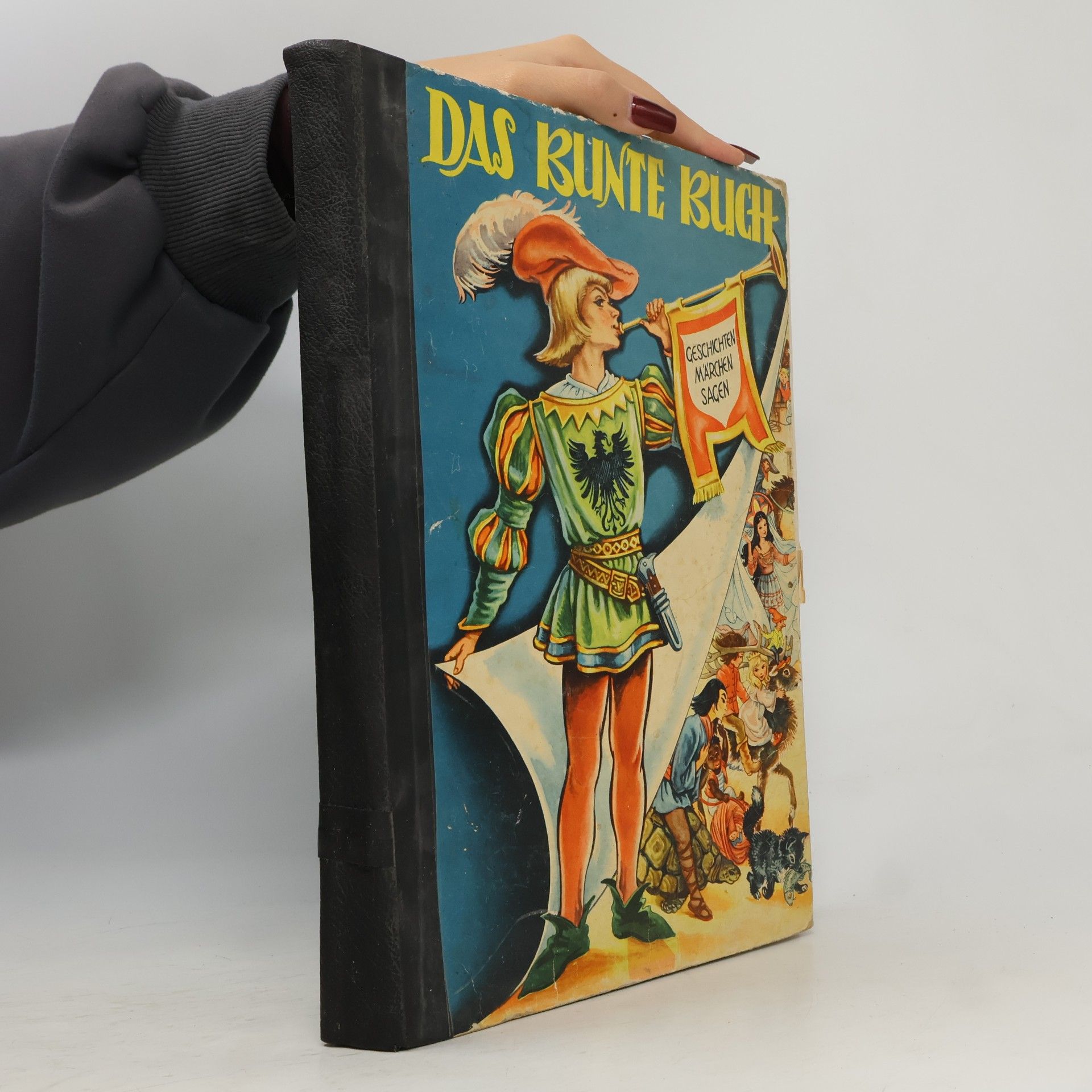kolektiv Das bunte Buch