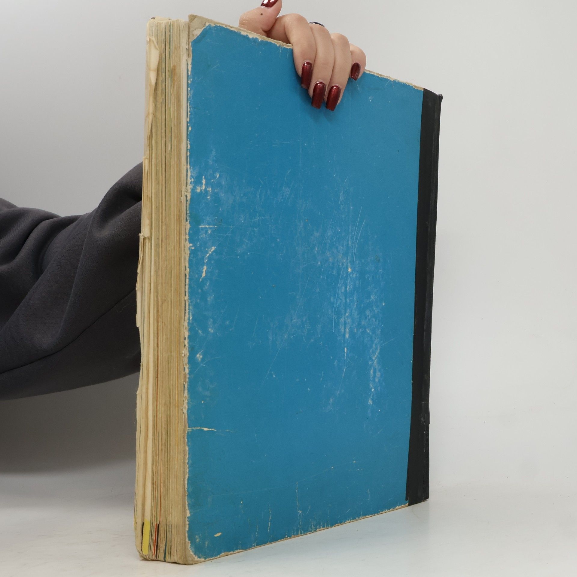 kolektiv Das bunte Buch