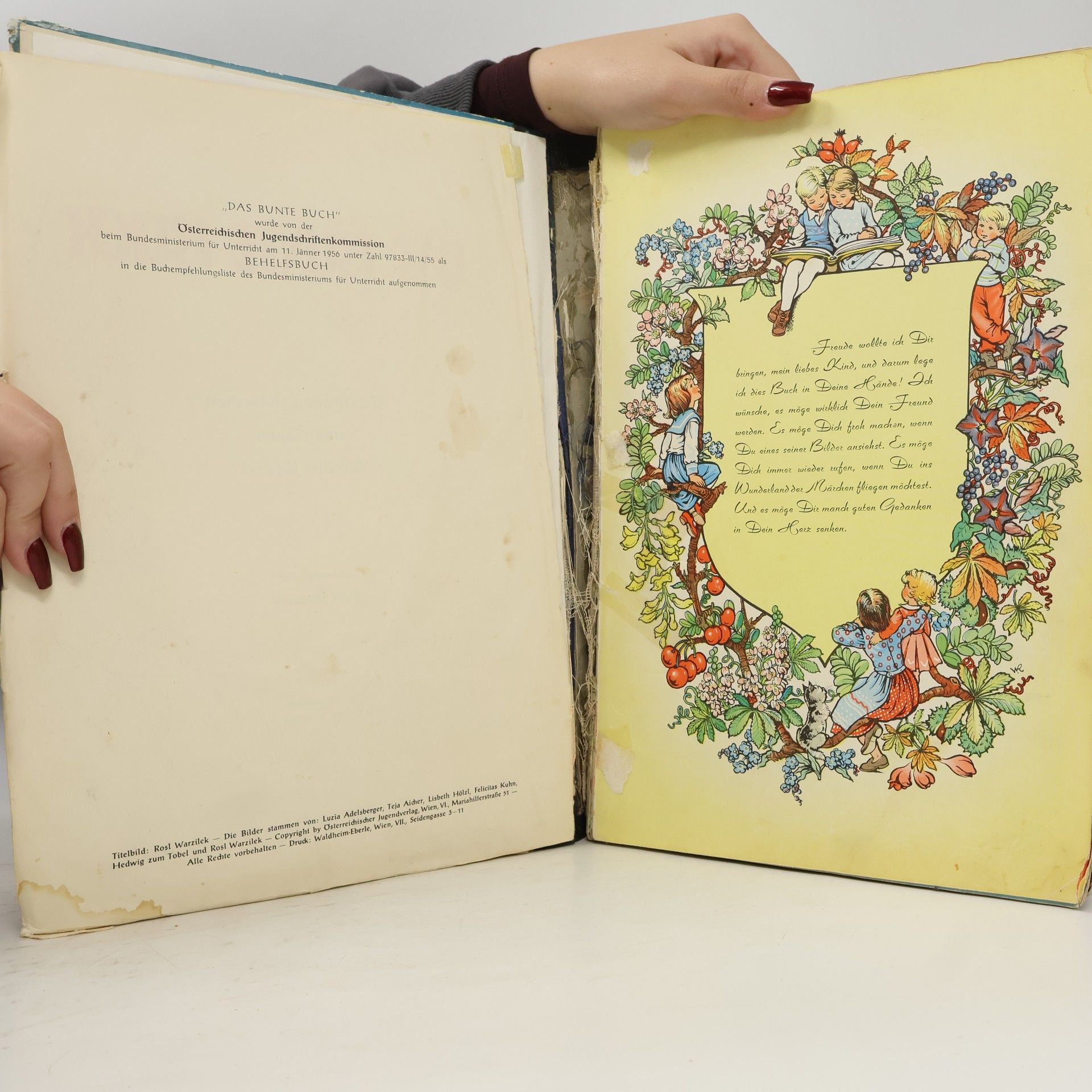 kolektiv Das bunte Buch