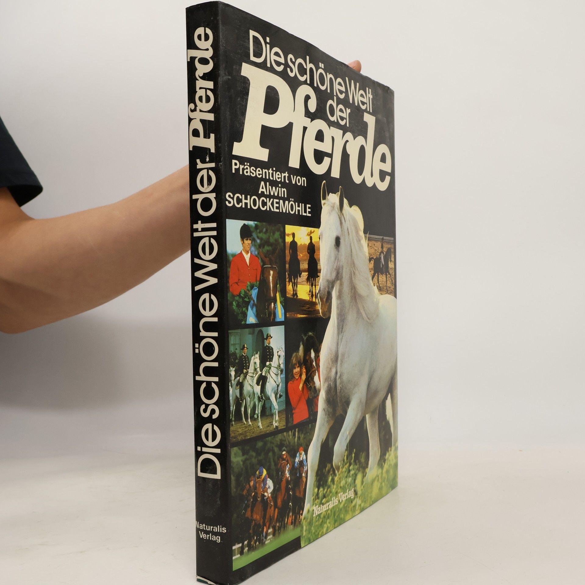 Die schöne Welt der Pferde