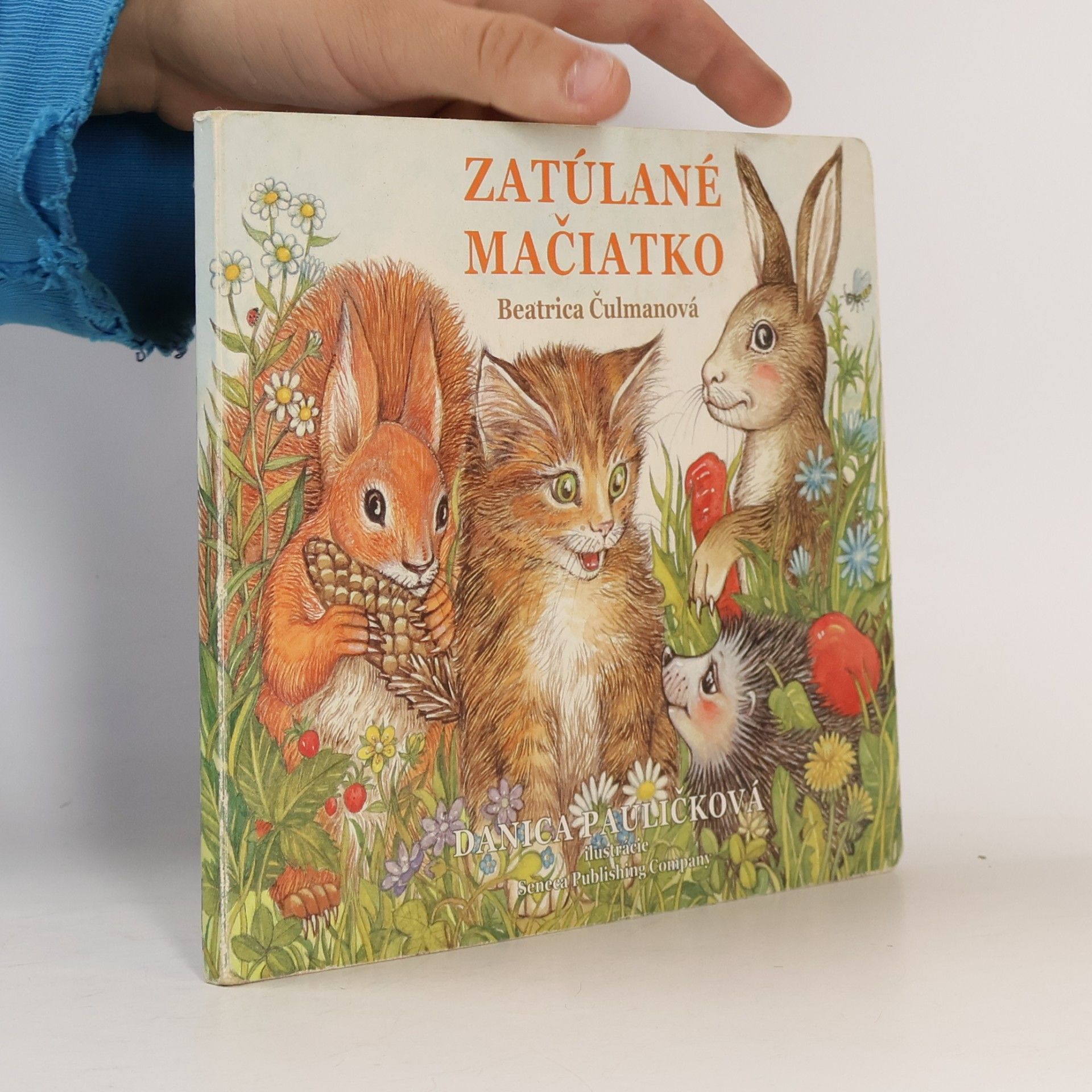 Beatrica Čulmanová Zatúlané mačiatko