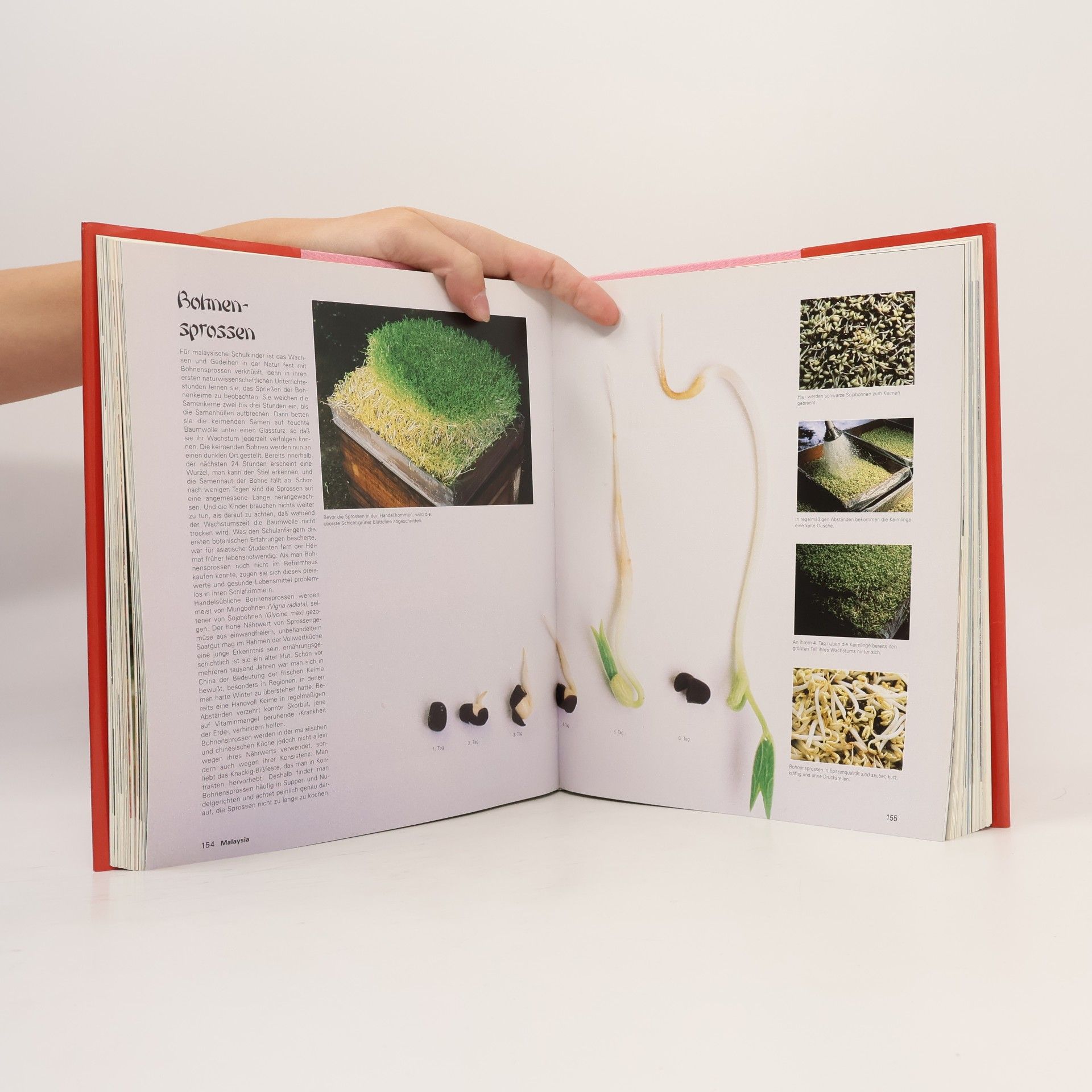 Rosalind Mowe Culinaria. Südostasiatische Spezialitäten. Eine kulinarische Reise