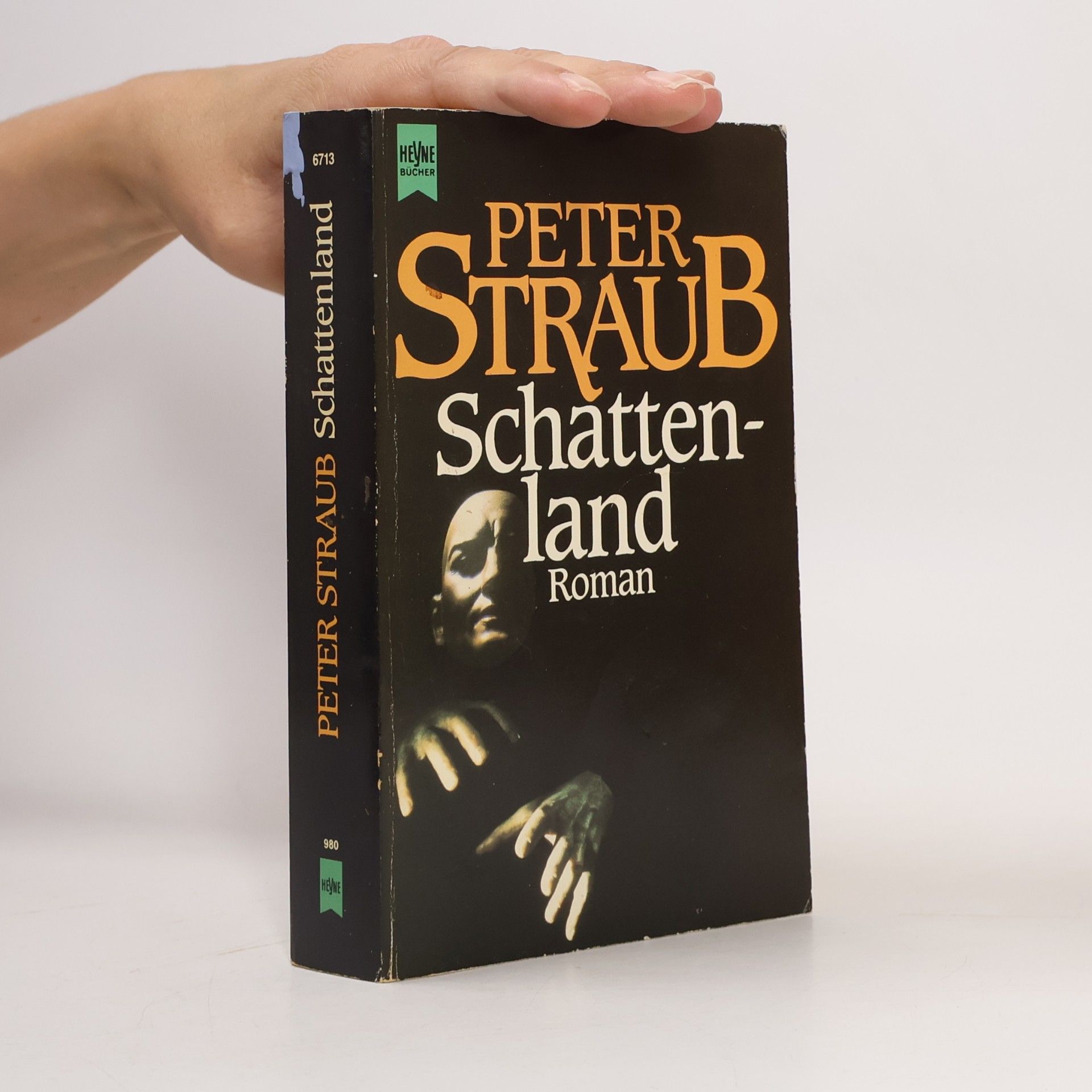 Peter Straub Schattenland