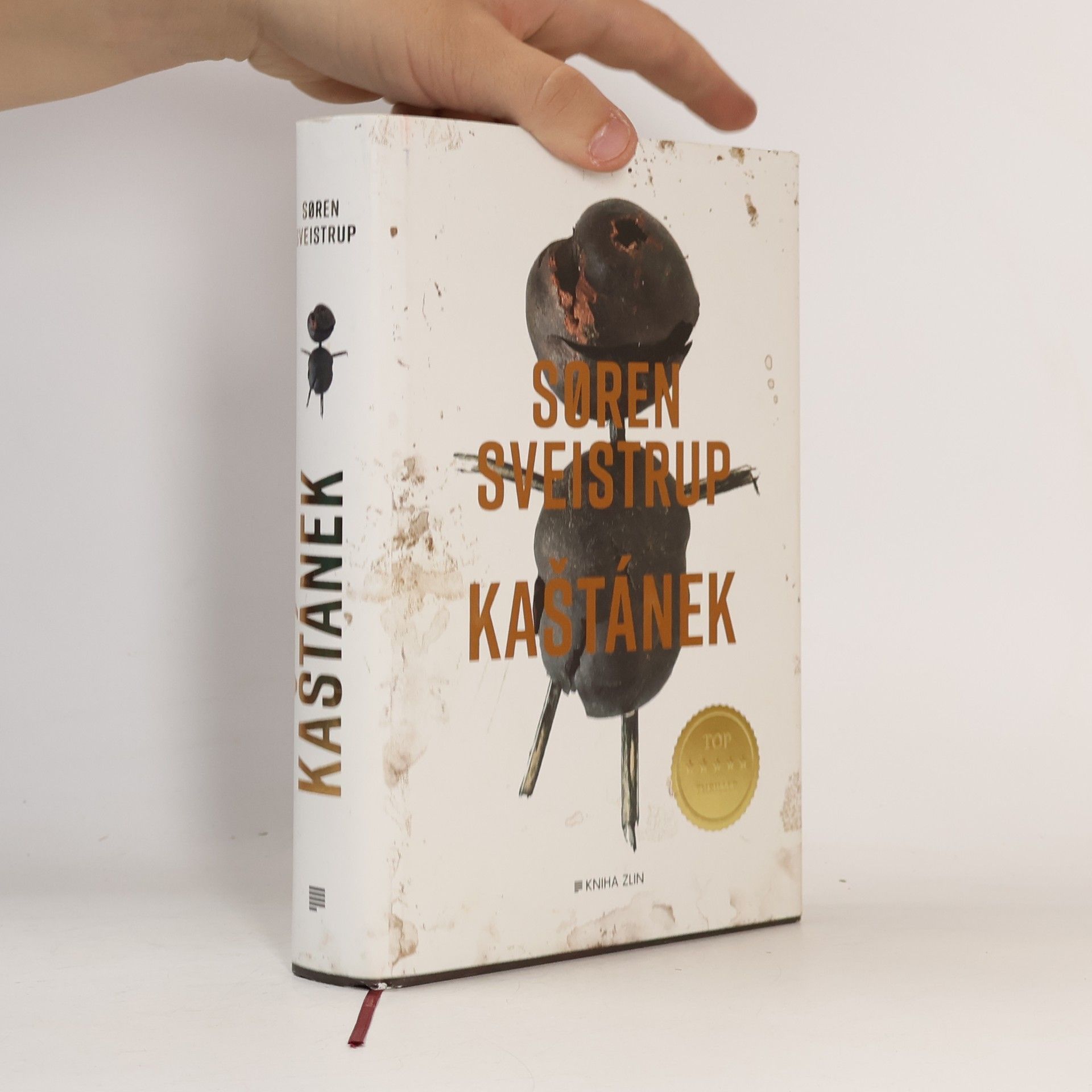 Kristina Václavů Kaštánek
