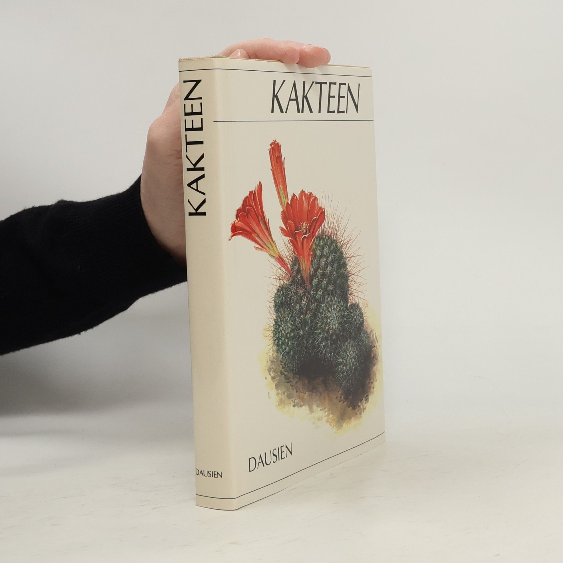 Kakteen