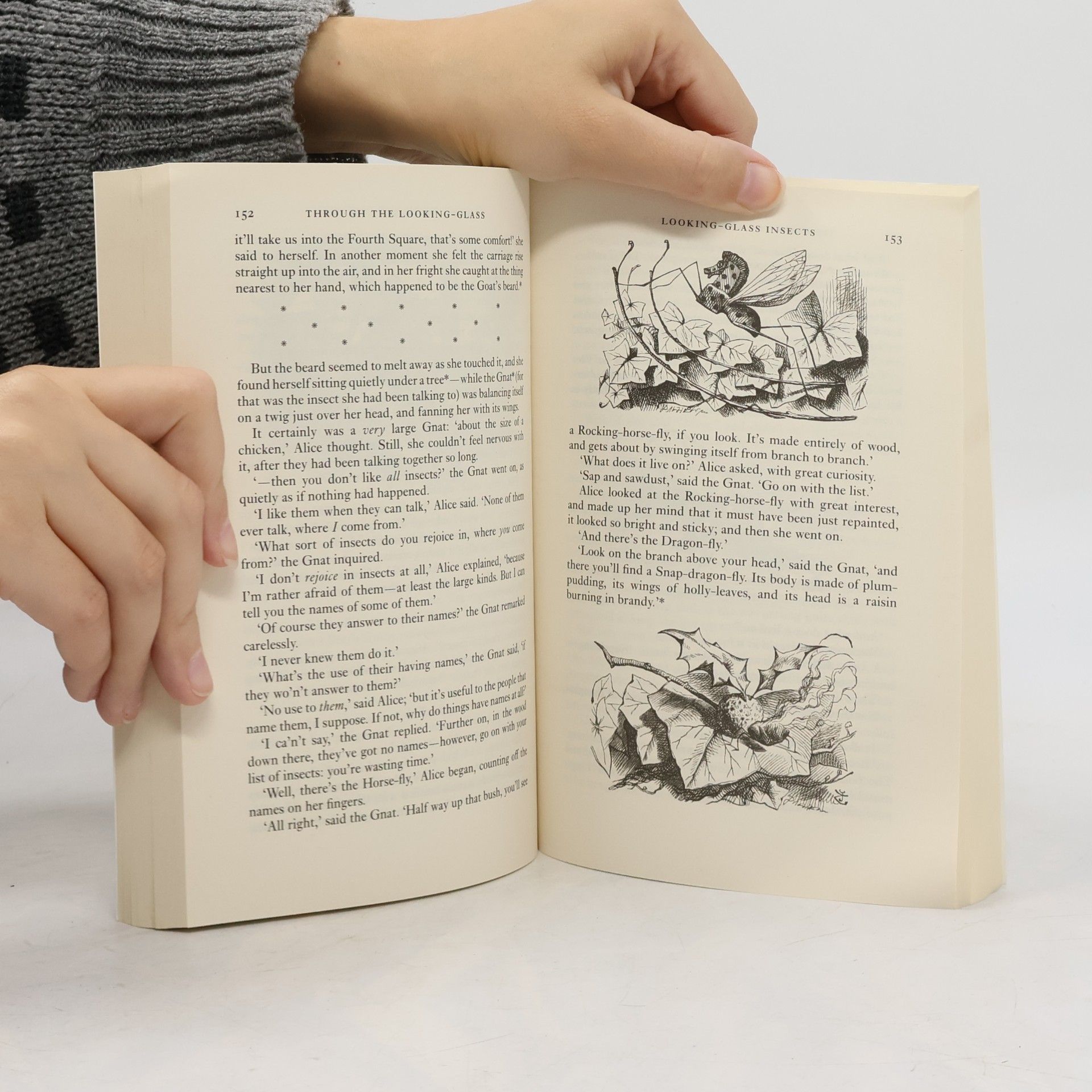 Lewis Carroll Alice's Adventures in Wonderland and Through the Looking-Glass
