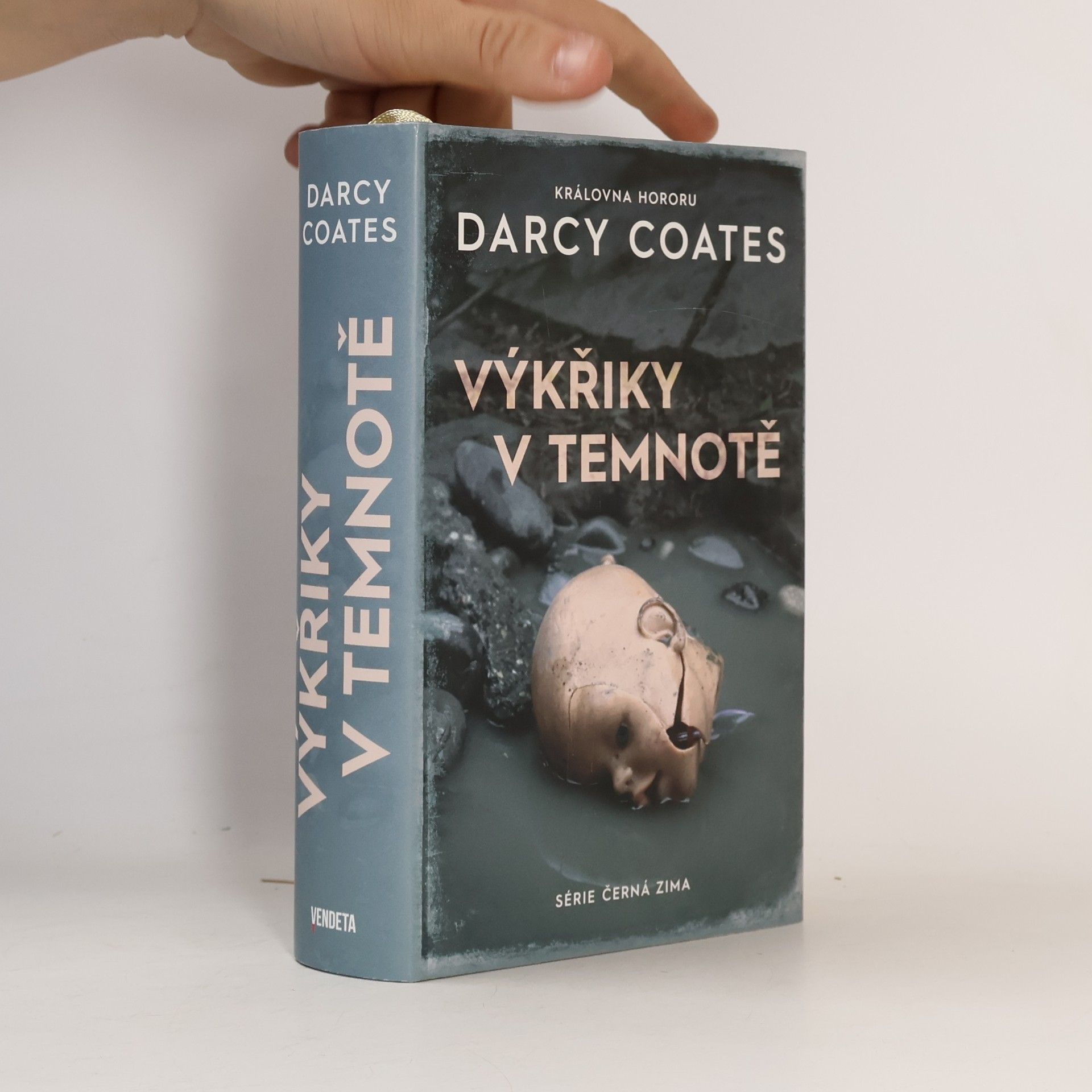 Darcy Coates Výkřiky v temnotě