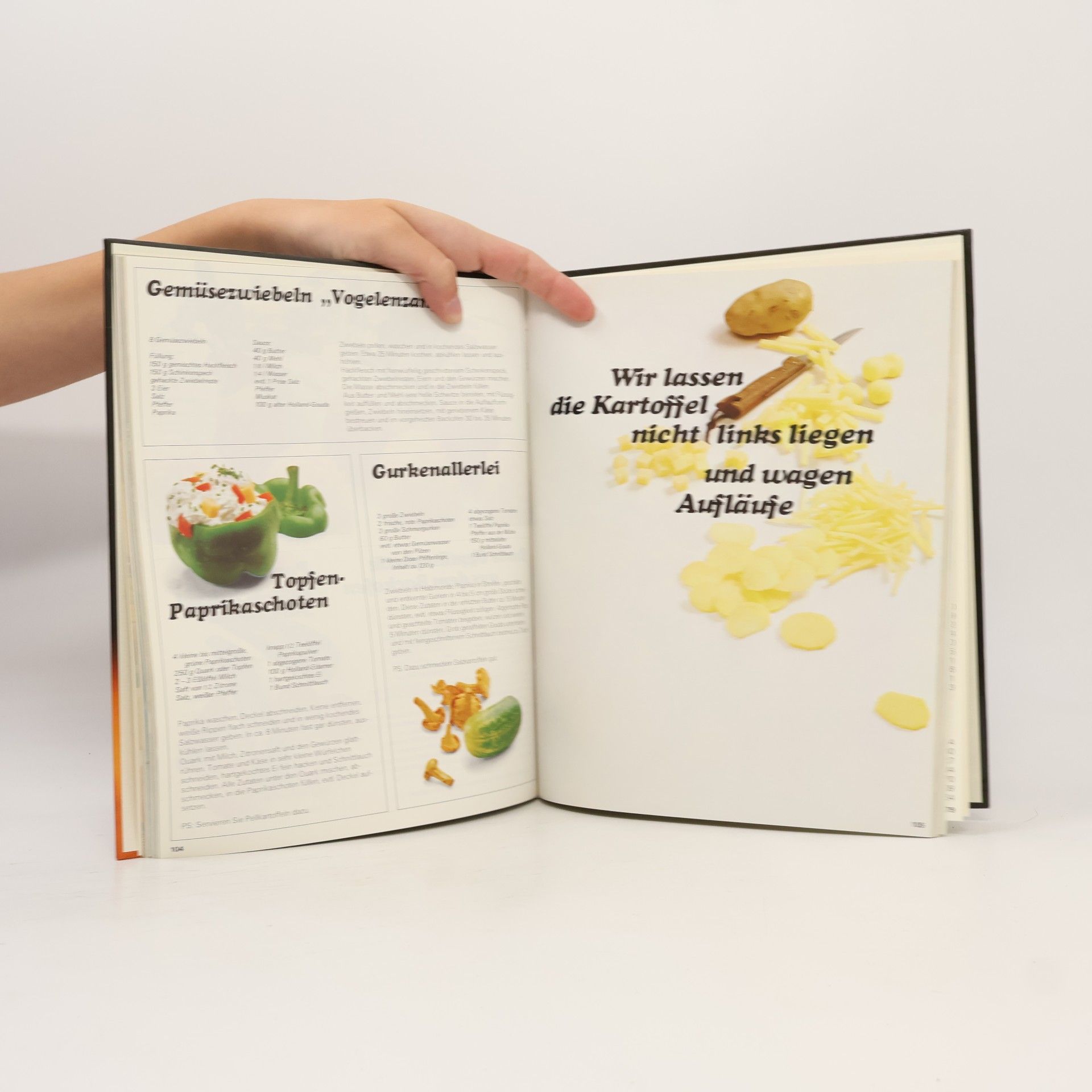 Hedwig Schnittker Frau Anties großes Kochbuch