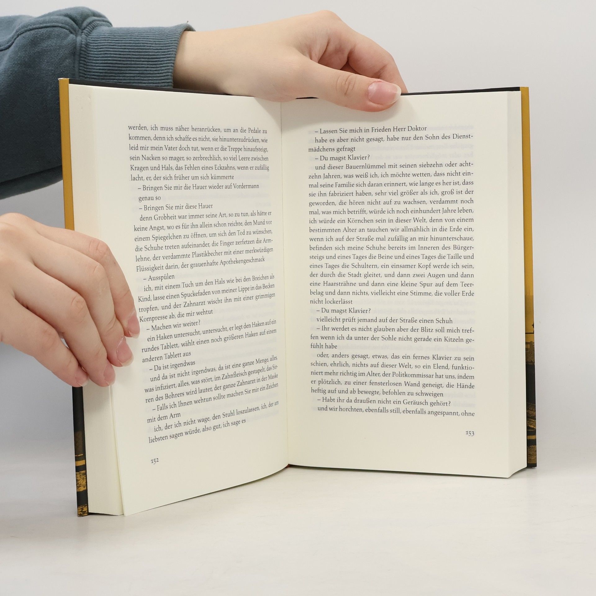 António Lobo Antunes Wörterbuch der Sprache der Blumen