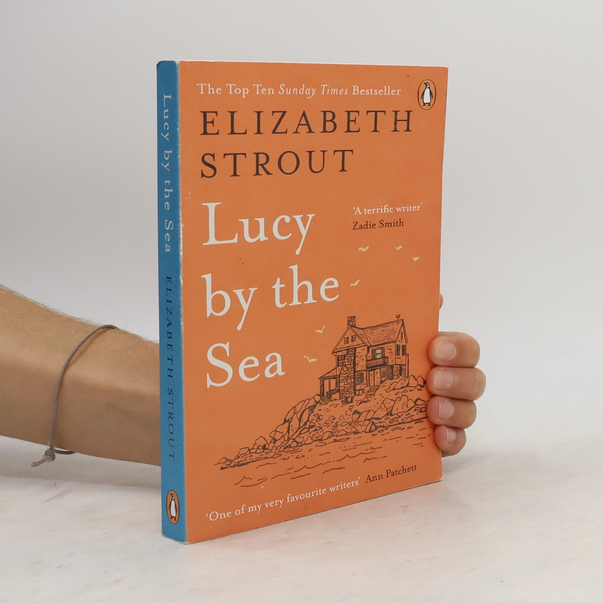 Elizabeth Strout Lucy by the Sea