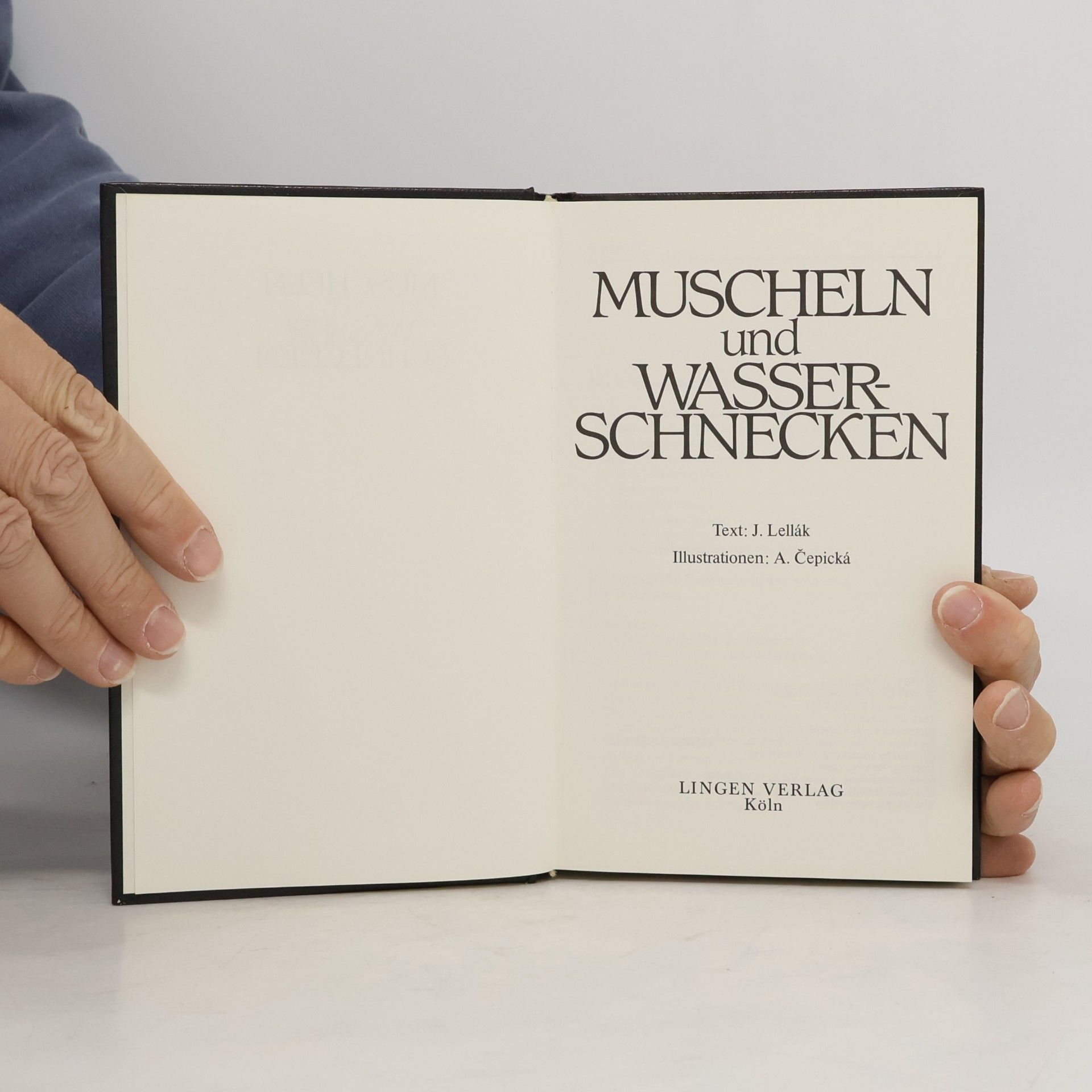 Jan Lellák Muscheln und Wasserschnecken