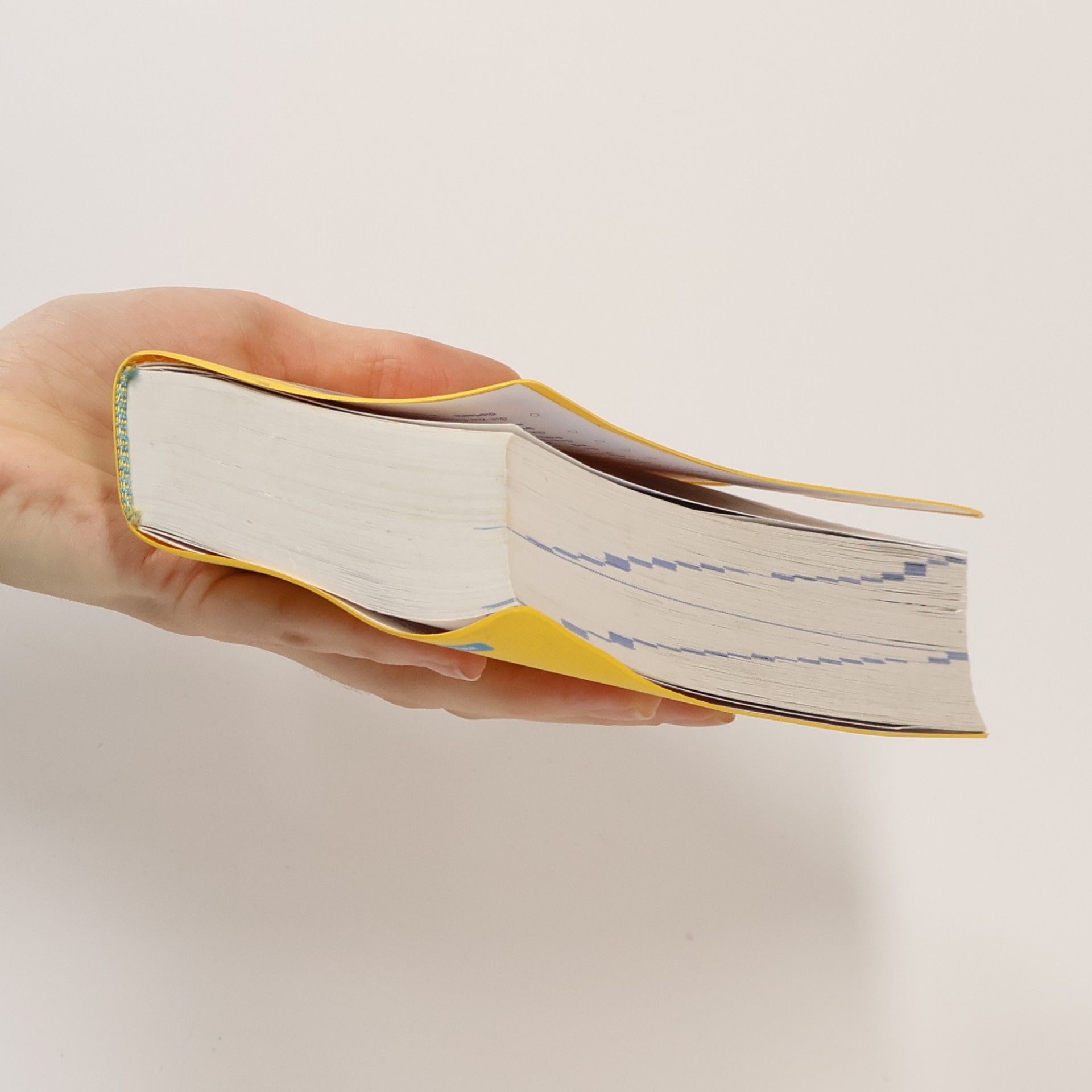 Holger Freese Langenscheidt, Schulwörterbuch Englisch