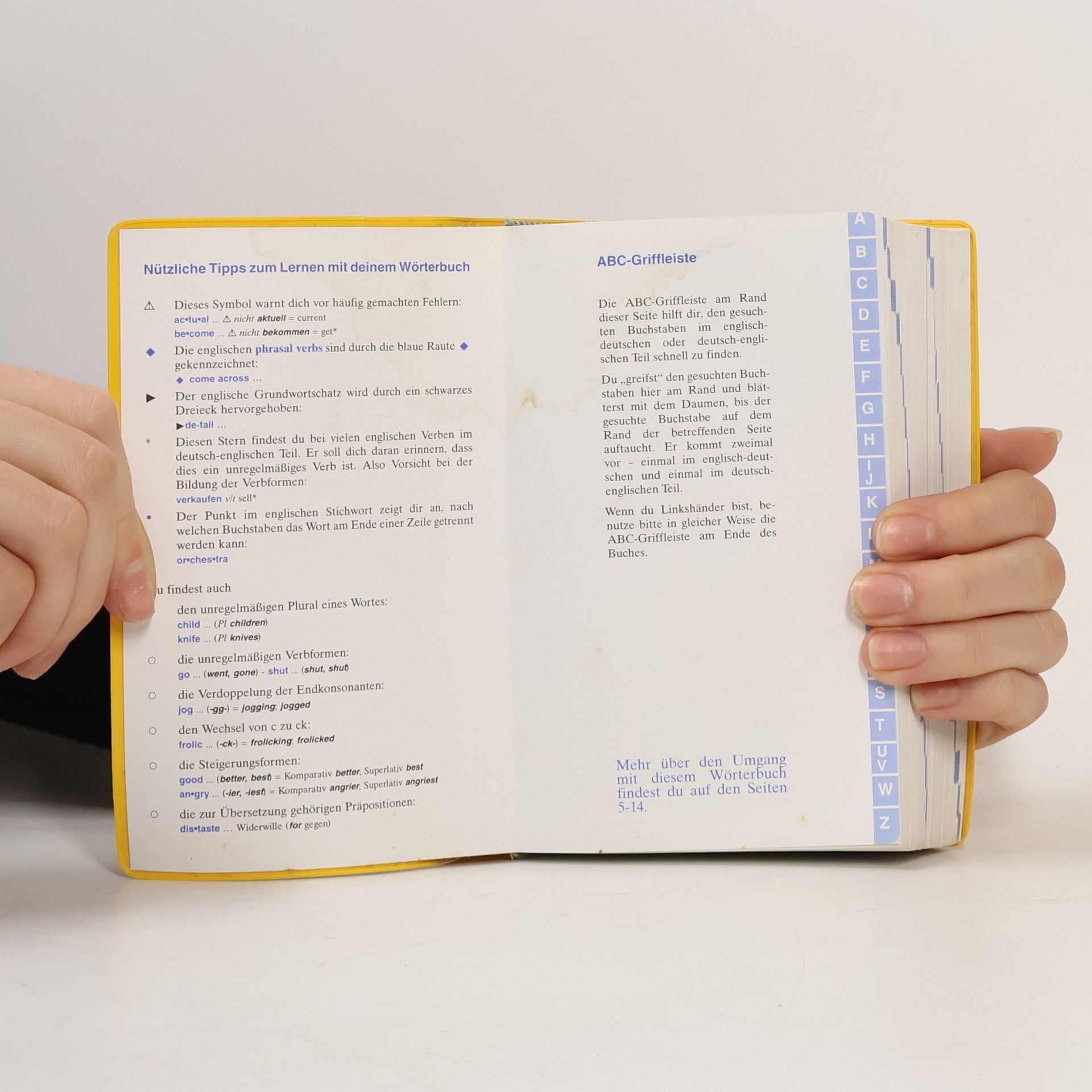 Holger Freese Langenscheidt, Schulwörterbuch Englisch