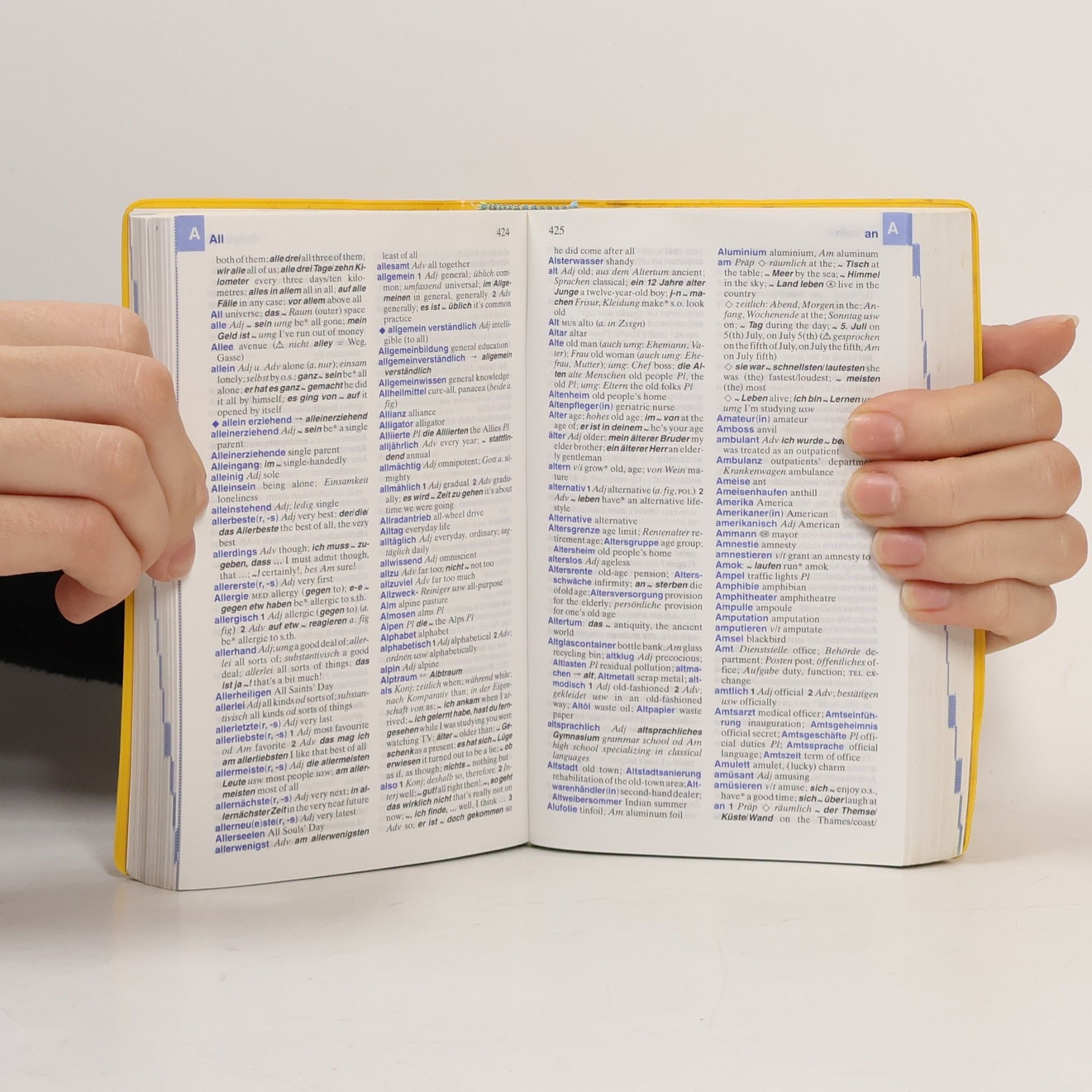 Holger Freese Langenscheidt, Schulwörterbuch Englisch