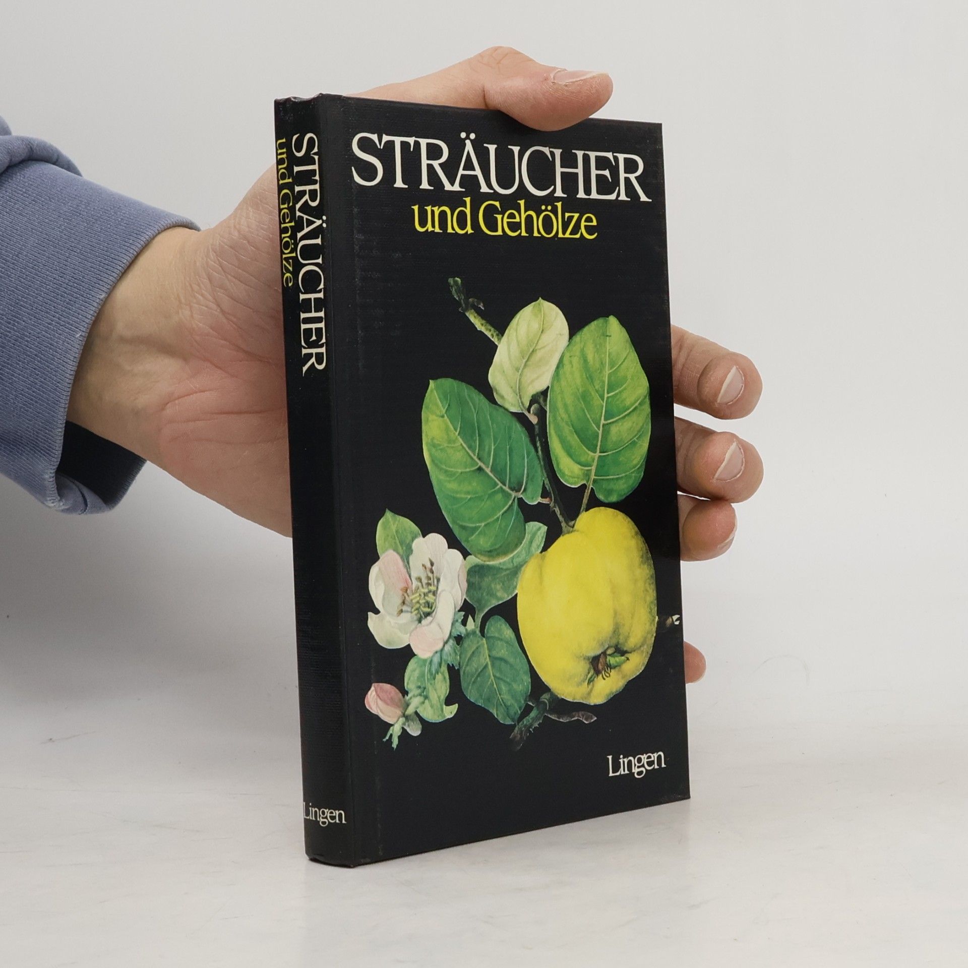 Sträucher und Gehölze