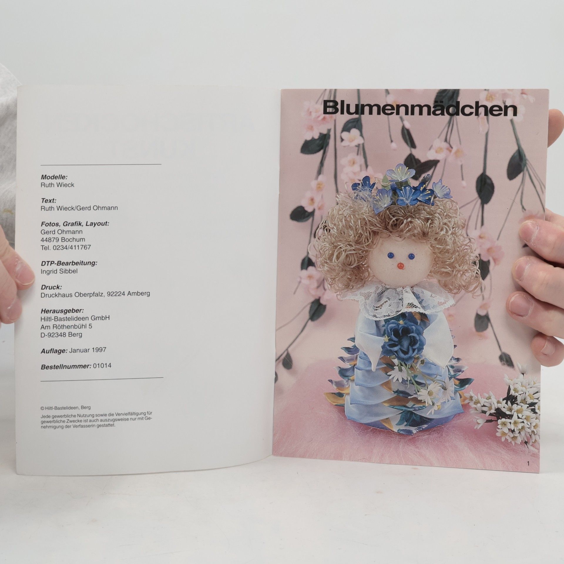 Autorenkollektiv Artischocken Kunst