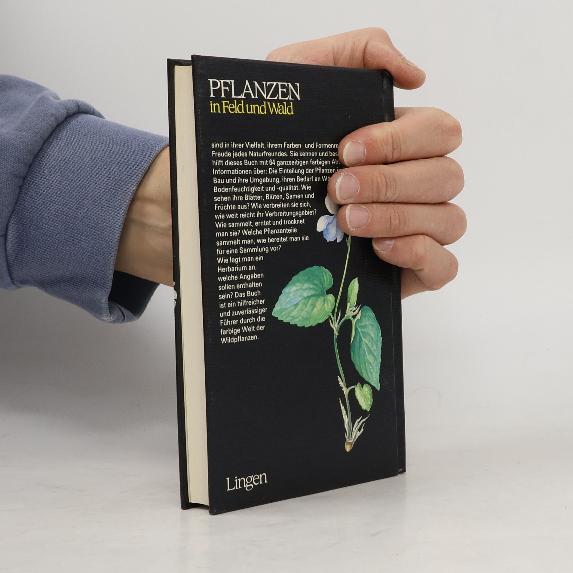 Kolektiv autorů Pflanzen in Feld und Wald