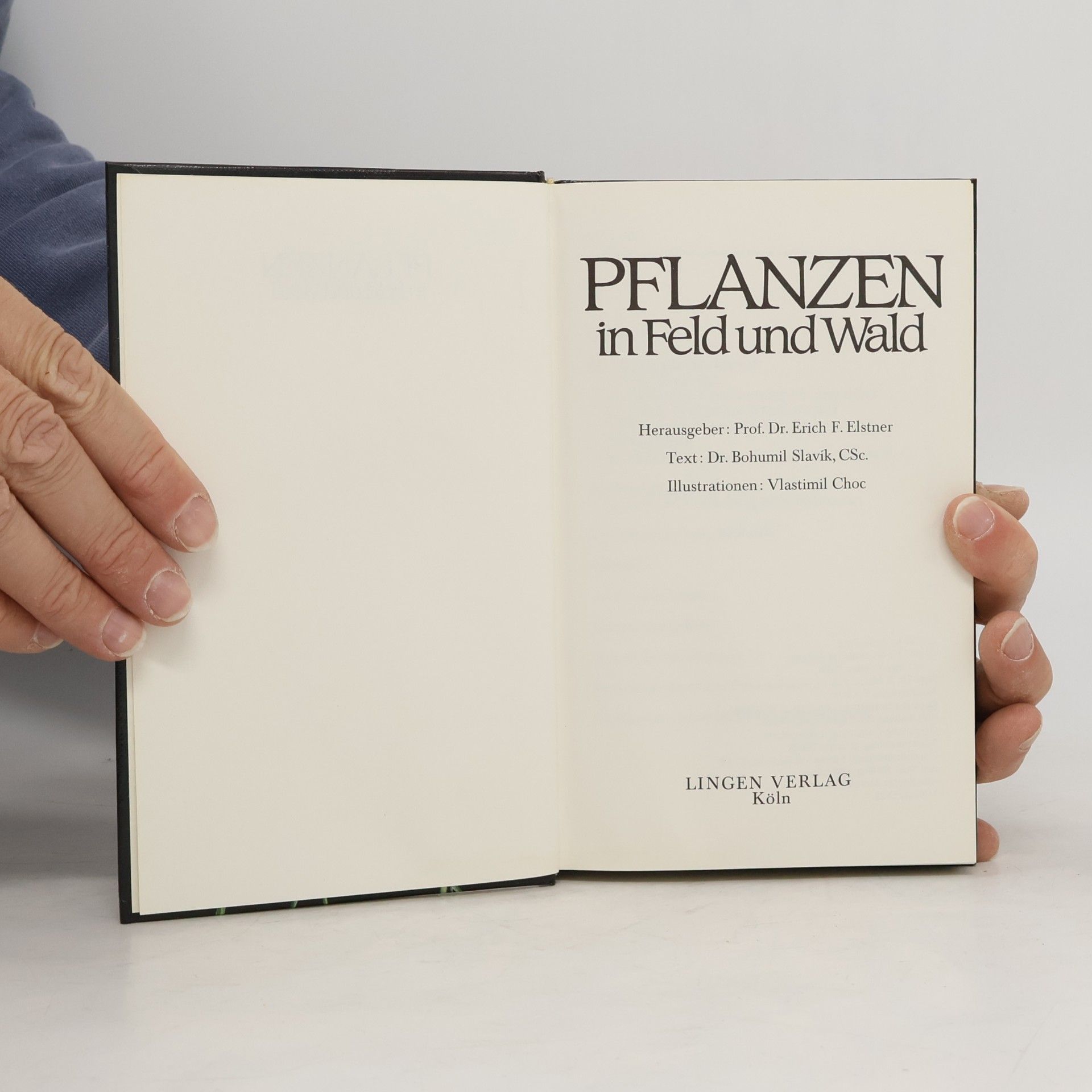 Kolektiv autorů Pflanzen in Feld und Wald