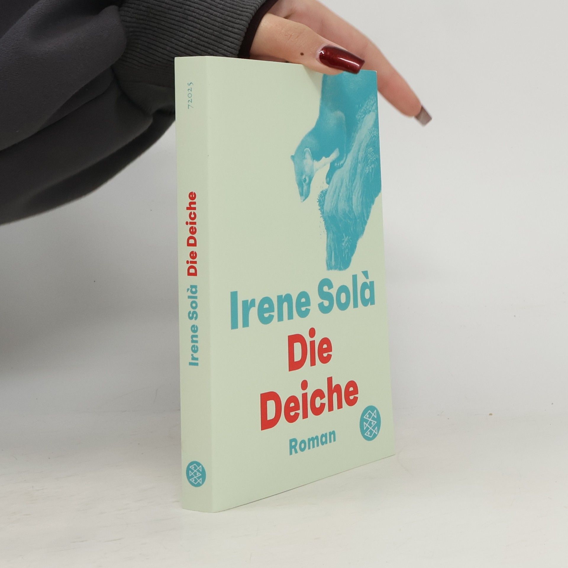Irene Solà Die Deiche