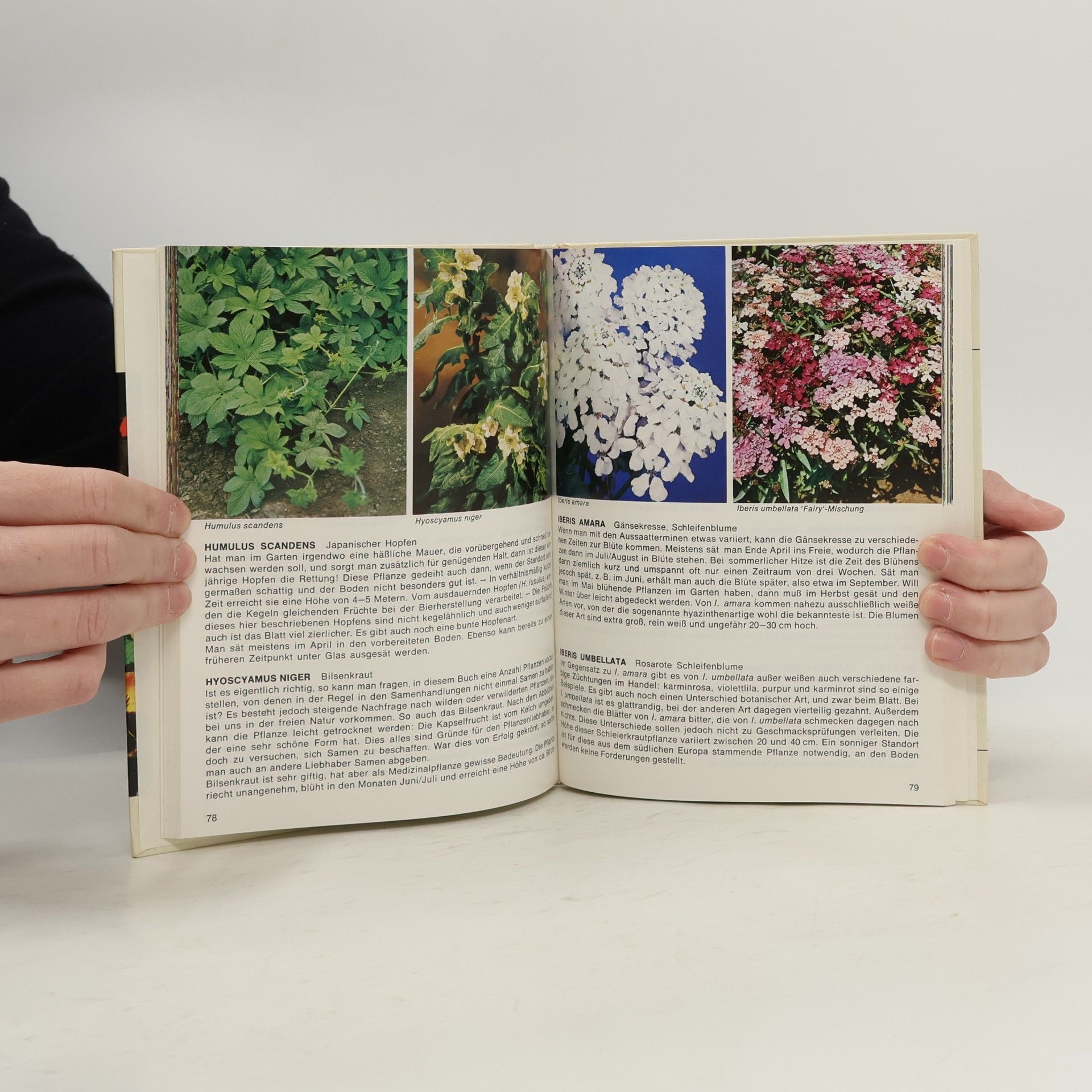 Wim Oudshoorn 201 [Zweihunderteins] Sommerblumen in Farbe