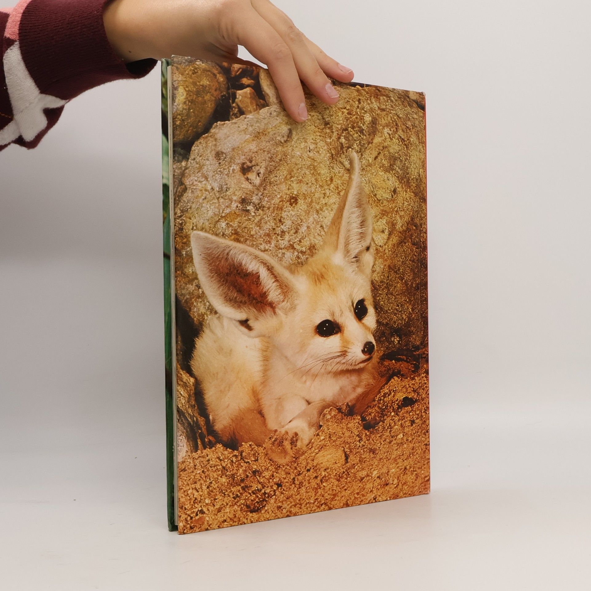 kolektiv Königreich der Tiere 4